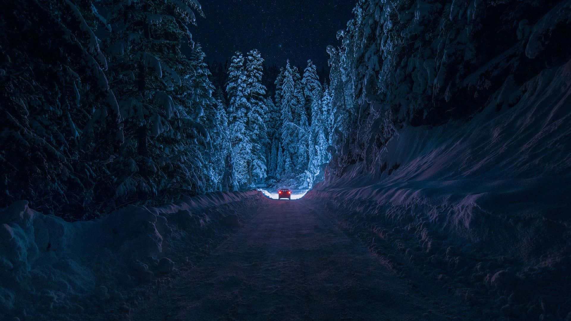 Calm Aesthetic Desktop 桌布 壁紙 — 一輛孤獨的紅色汽車在星空下的雪地森林道路上行駛。