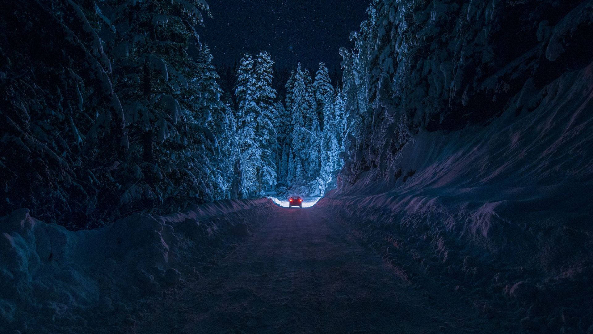 動漫 桌布 壁紙 — 一輛孤獨的紅色汽車在星空下的雪地森林道路上行駛。