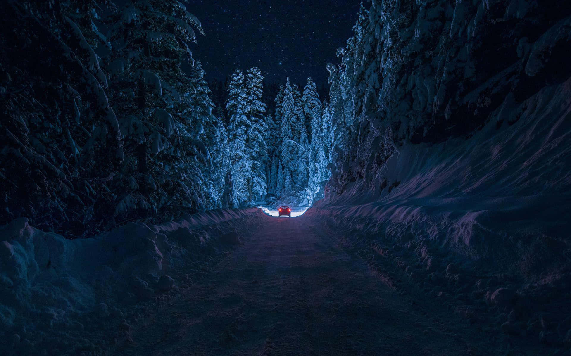 Night Forest 桌布 壁紙 — 一輛孤獨的紅色汽車在星空下的雪林路上行駛。