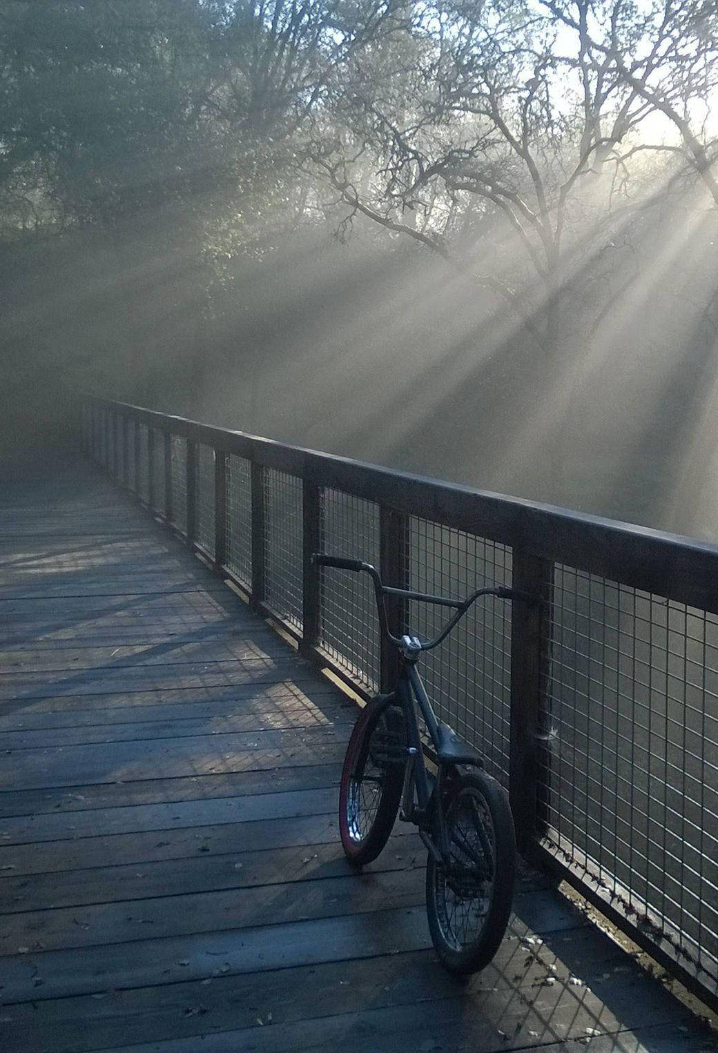 bmx 桌布 壁紙 — 一輛孤獨的腳踏車停放在木製棧道上，晨光穿透霧氣繚繞的樹林。