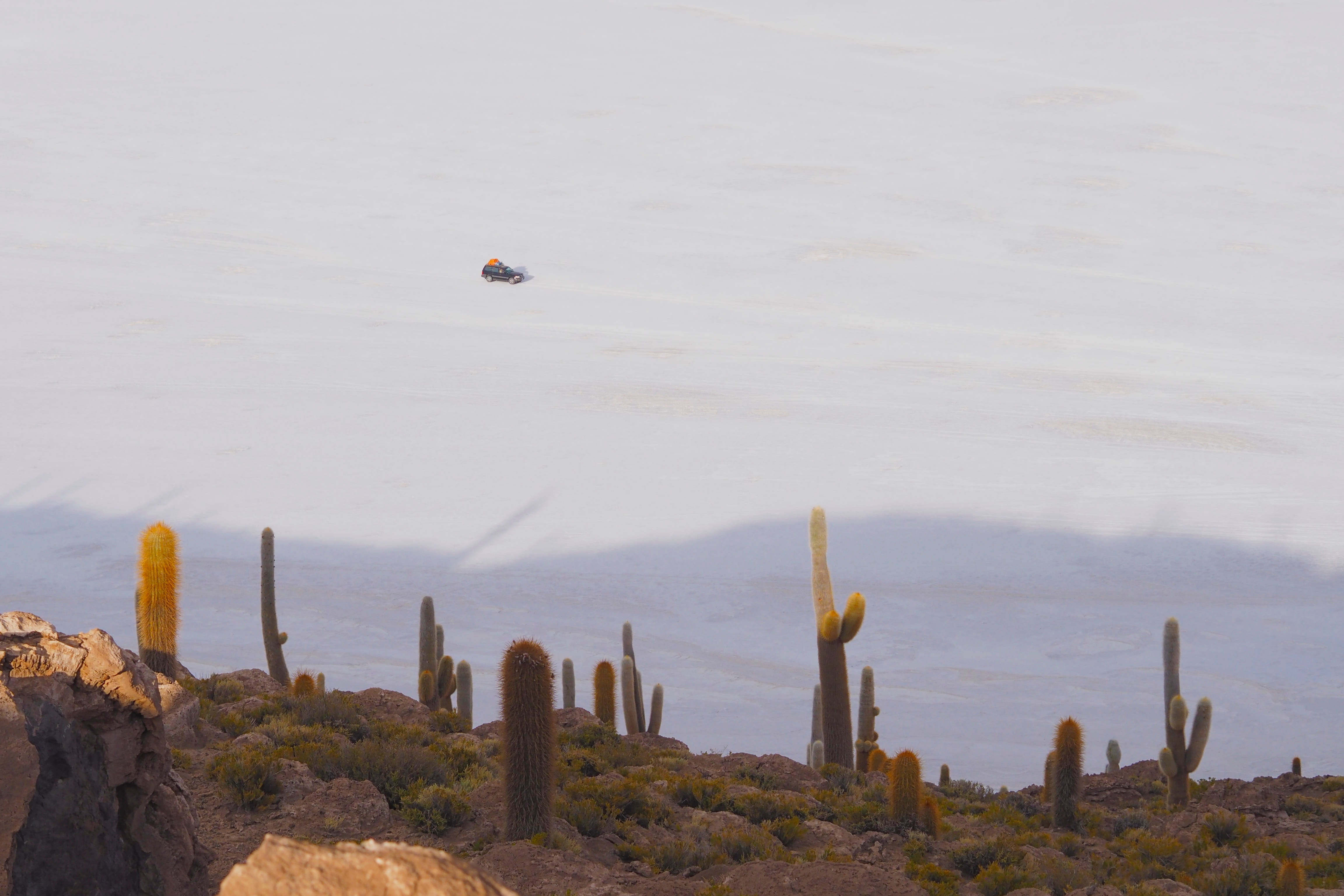 Bolivia 桌布 壁紙 — 一輛孤獨的車輛在明亮的日光下穿越廣闊的白色鹽灘，周圍環繞著金色的仙人掌和岩石地形。