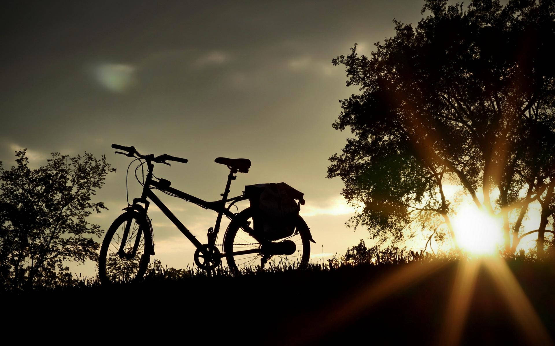 Bicycle 桌布 壁紙 — 一輛帶有側袋的自行車剪影擱在草地上，夕陽的光芒穿過樹木照射出來。