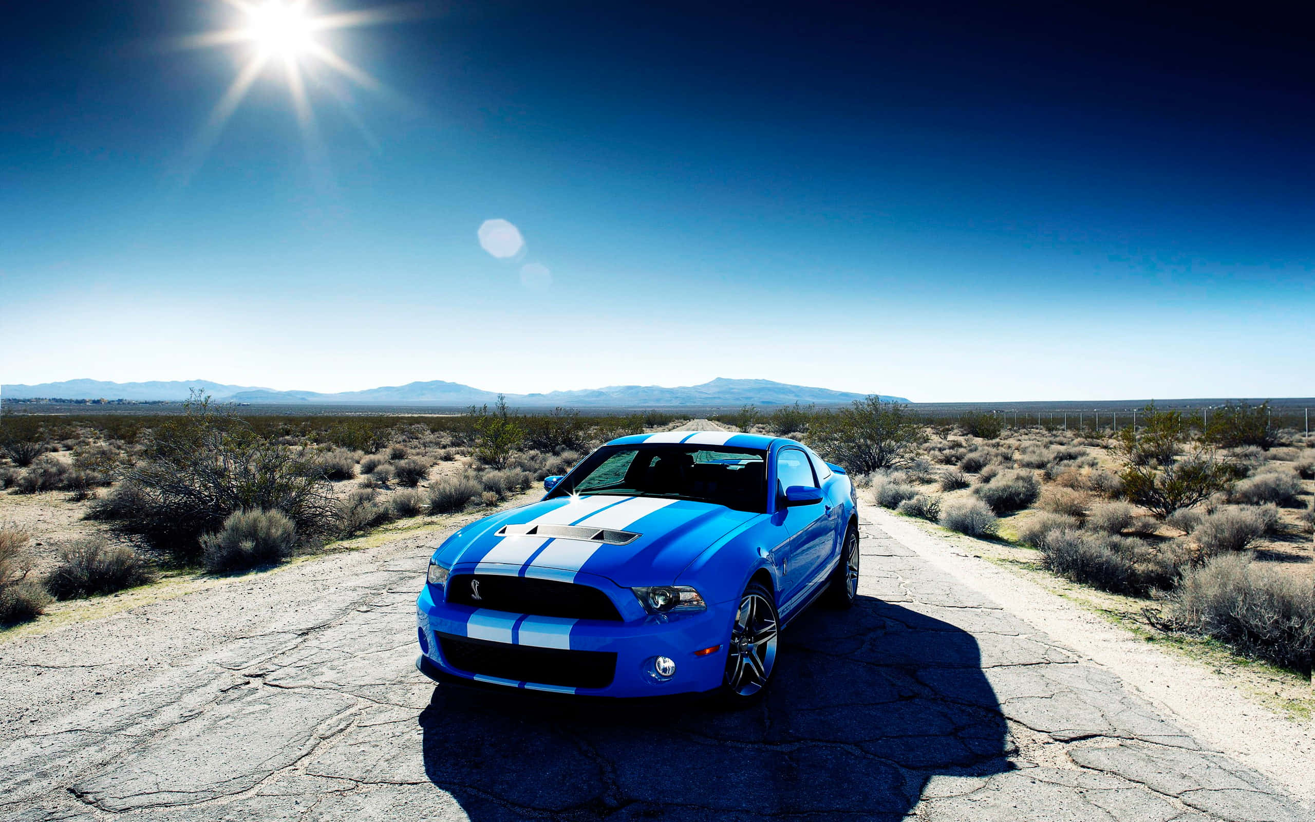 野馬GIF 桌布 壁紙 — 一輛帶有白色賽車條紋的充滿活力的藍色Shelby Mustang停在烈日下龜裂的沙漠道路上。