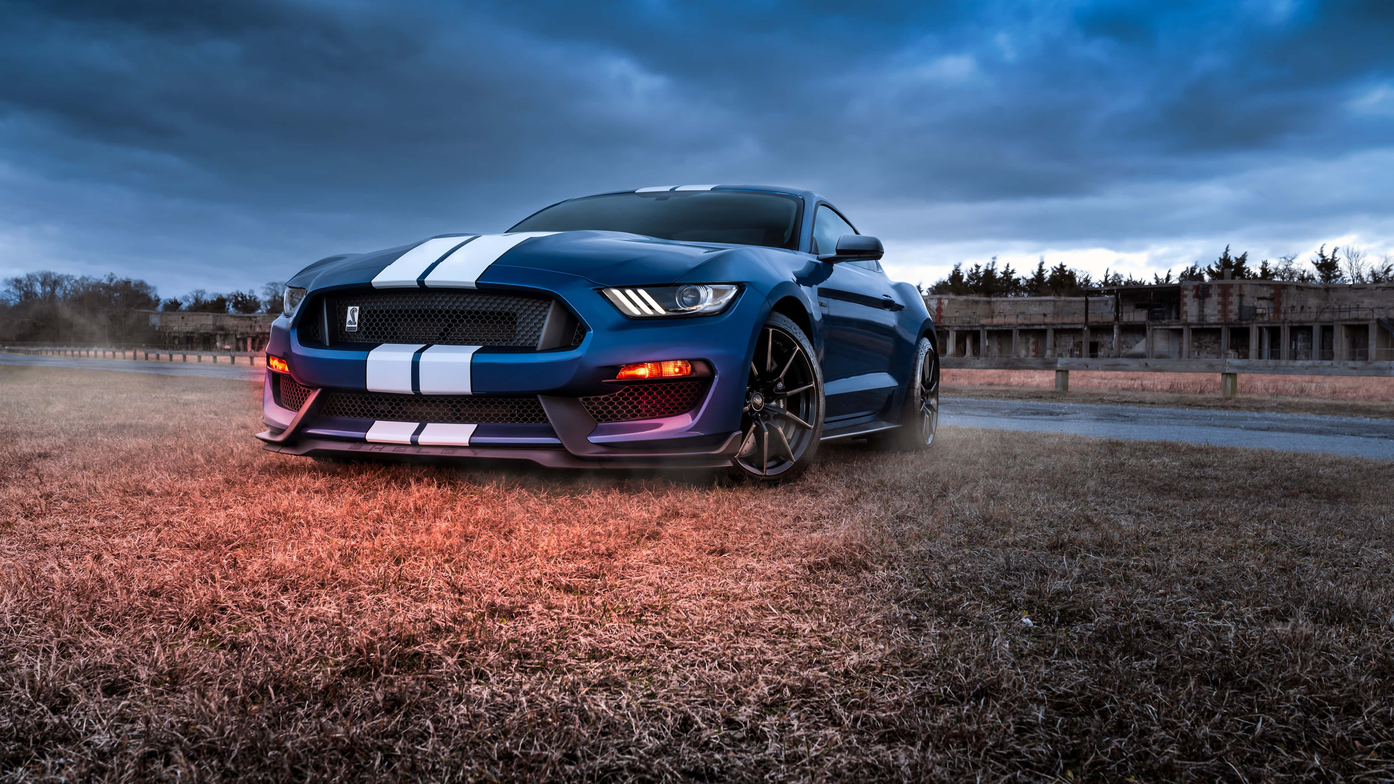 福特 桌布 壁紙 — 一輛帶有白色賽車條紋的藍色福特野馬Shelby GT500停在乾燥的草地上，天空陰沉，暮色蒼茫。