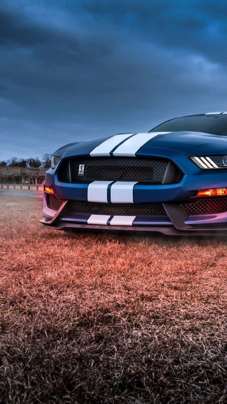Mustang iPhone 桌布 壁紙 — 一輛帶有白色賽車條紋的藍色福特野馬，低伏在乾草上，籠罩在陰沉的暮色天空下。