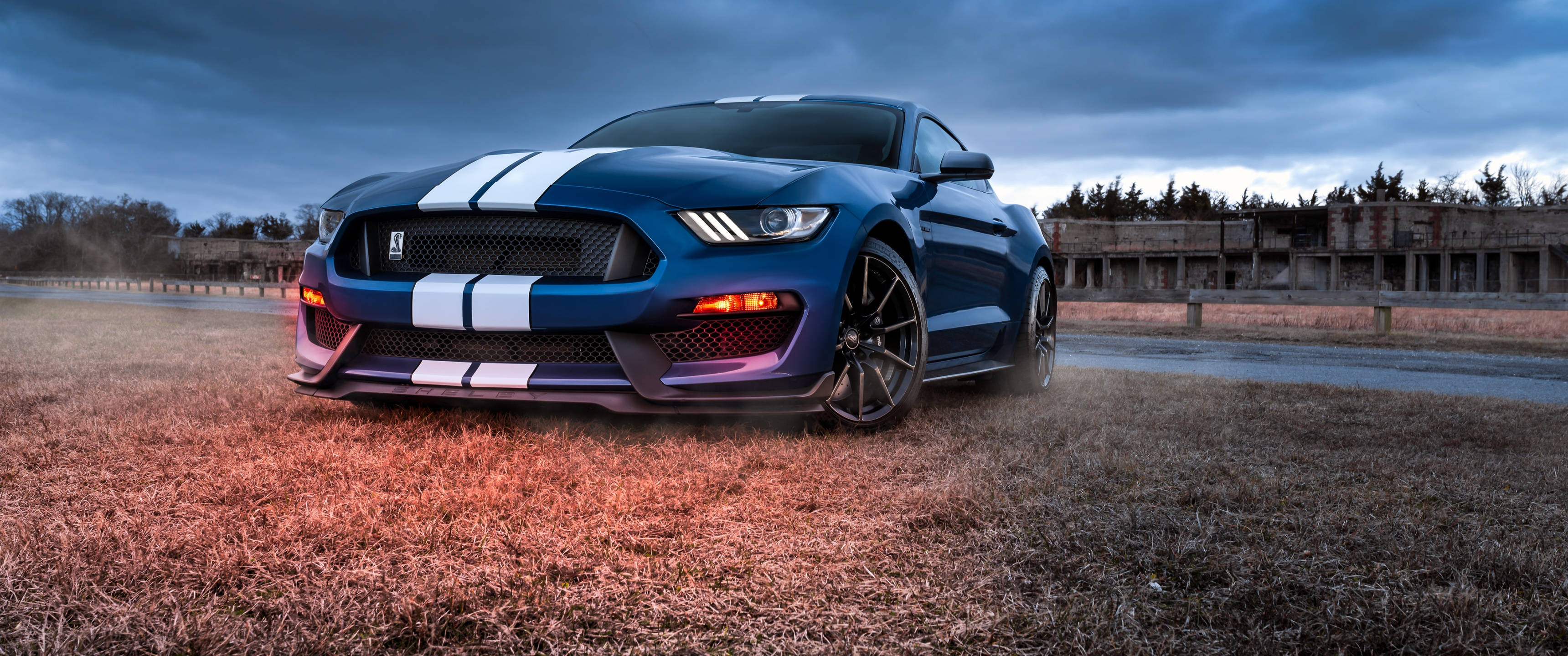 Cool Mustang 桌布 壁紙 — 一輛帶有白色賽車條紋的藍色福特野馬Shelby GT500停在乾燥的草地上，背景是陰沉的黃昏天空和一座破舊的建築。