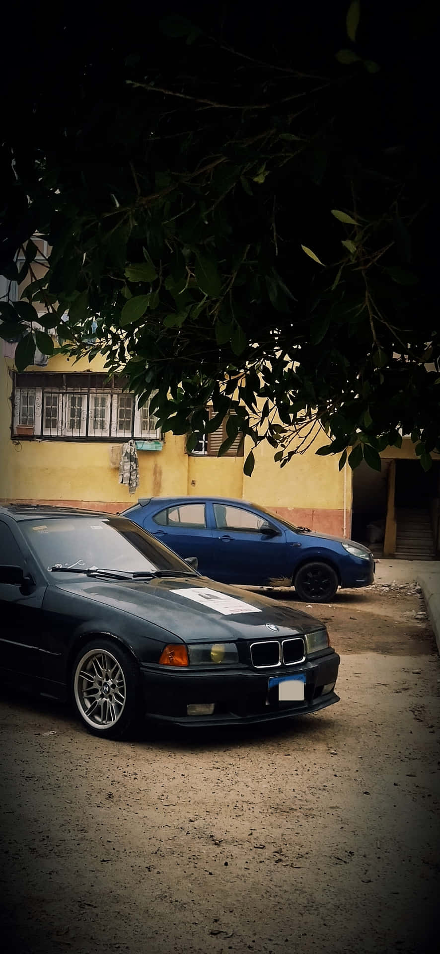 BMW 壁紙 — 一輛帶有白色賽車條紋的黑色BMW轎車停在枝葉茂密的樹枝下，旁邊有一輛藍色汽車，背景是黃色建築物。