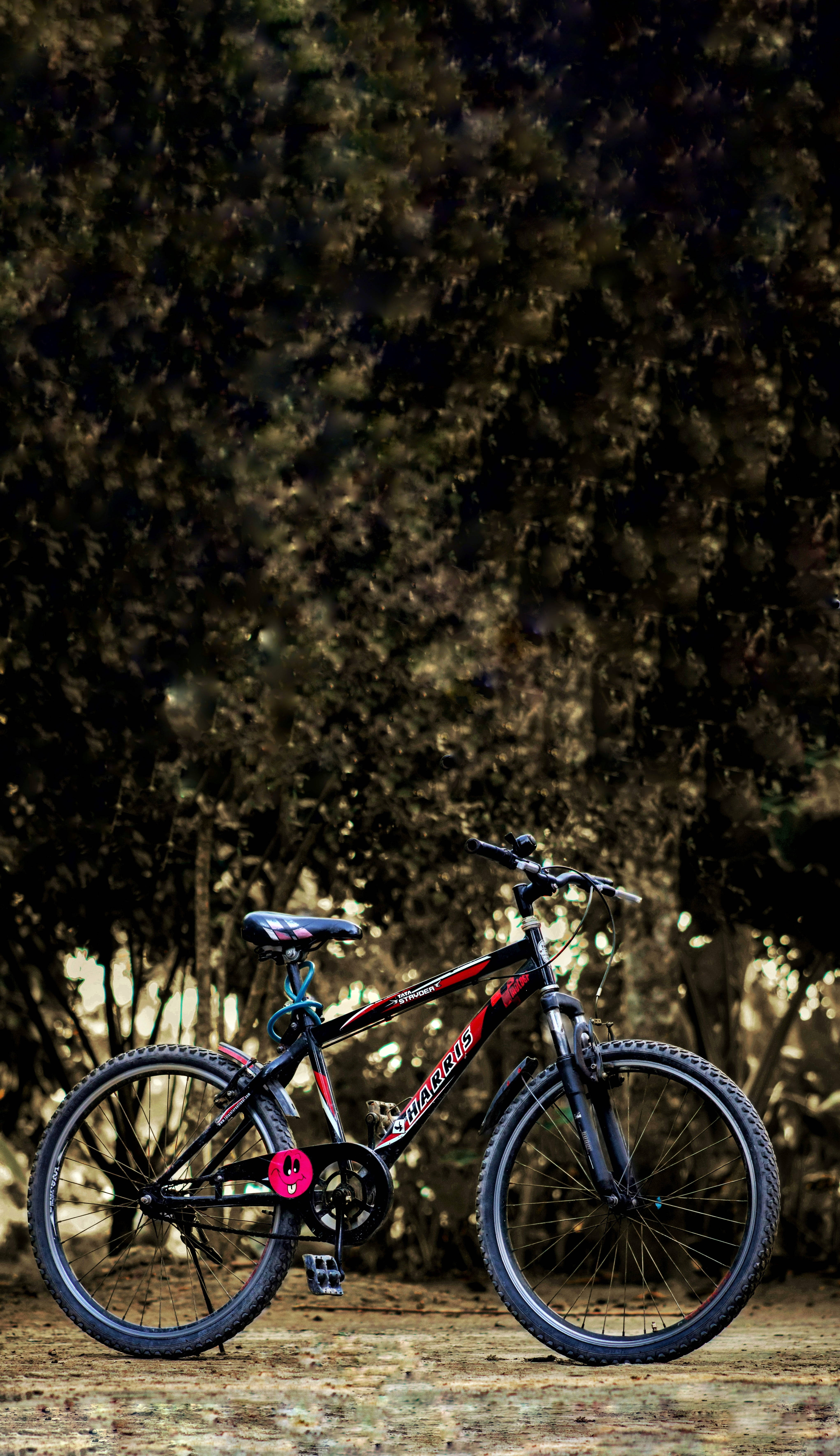 Mountain Bike 桌布 壁紙 — 一輛帶有粉紅色點綴的黑色登山自行車獨自停在泥濘小徑上，周圍是茂密的深色樹木。