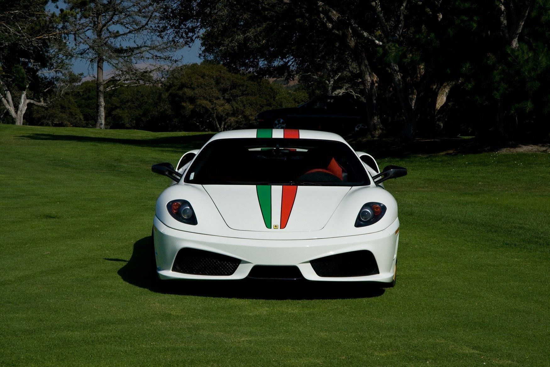white ferrari 桌布 壁紙 — 一輛帶有義大利國旗條紋的白色法拉利跑車，在明亮的日光下停放在鬱鬱蔥蔥的綠色高爾夫球場中央。