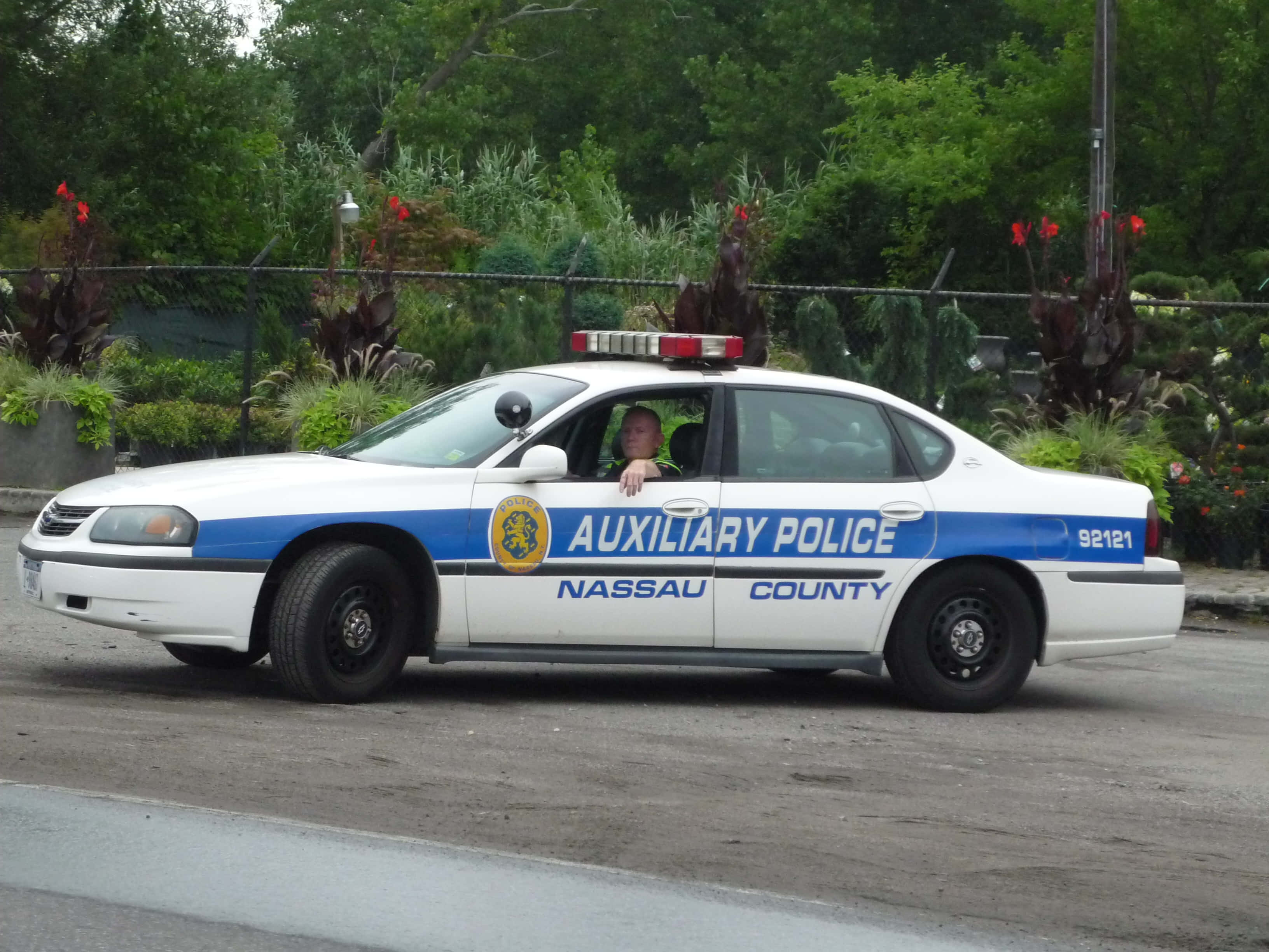 警察 桌布 壁紙 — 一輛帶有藍色條紋的白色納蘇縣輔助警車停泊在茂密綠植旁，一名警員正探出車窗。