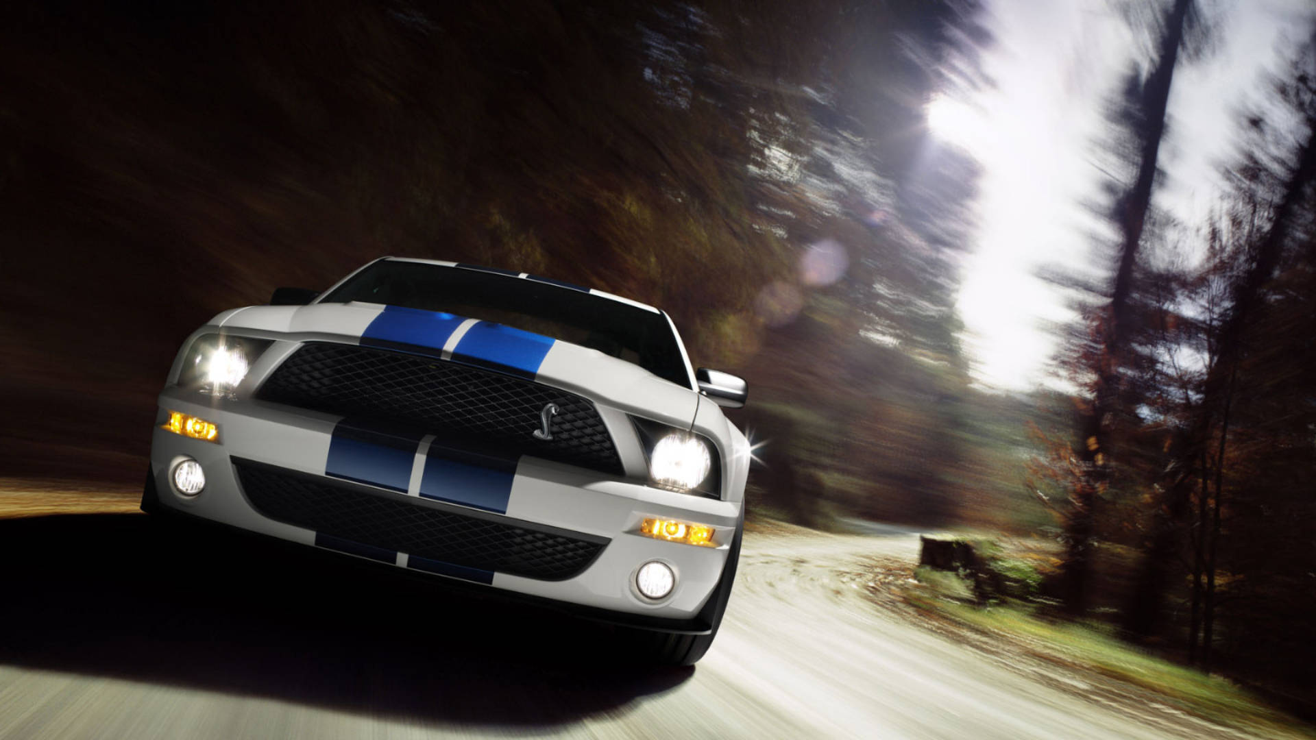 driving fast 桌布 壁紙 — 一輛帶有藍色賽車條紋的白色Shelby Mustang在黃昏時分沿著森林道路飛馳，帶有動態模糊和明亮的車頭燈。