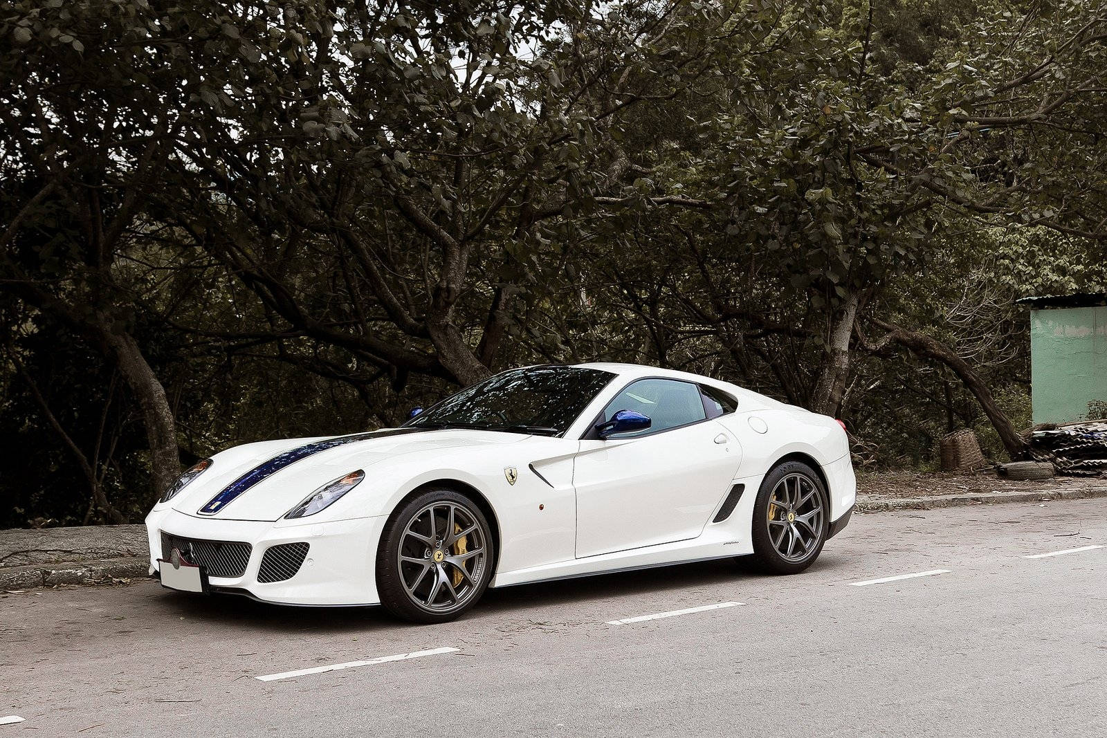 white ferrari 桌布 壁紙 — 一輛帶有藍色賽車條紋的純白色法拉利跑車停在瀝青路上，周圍是茂密的綠樹。