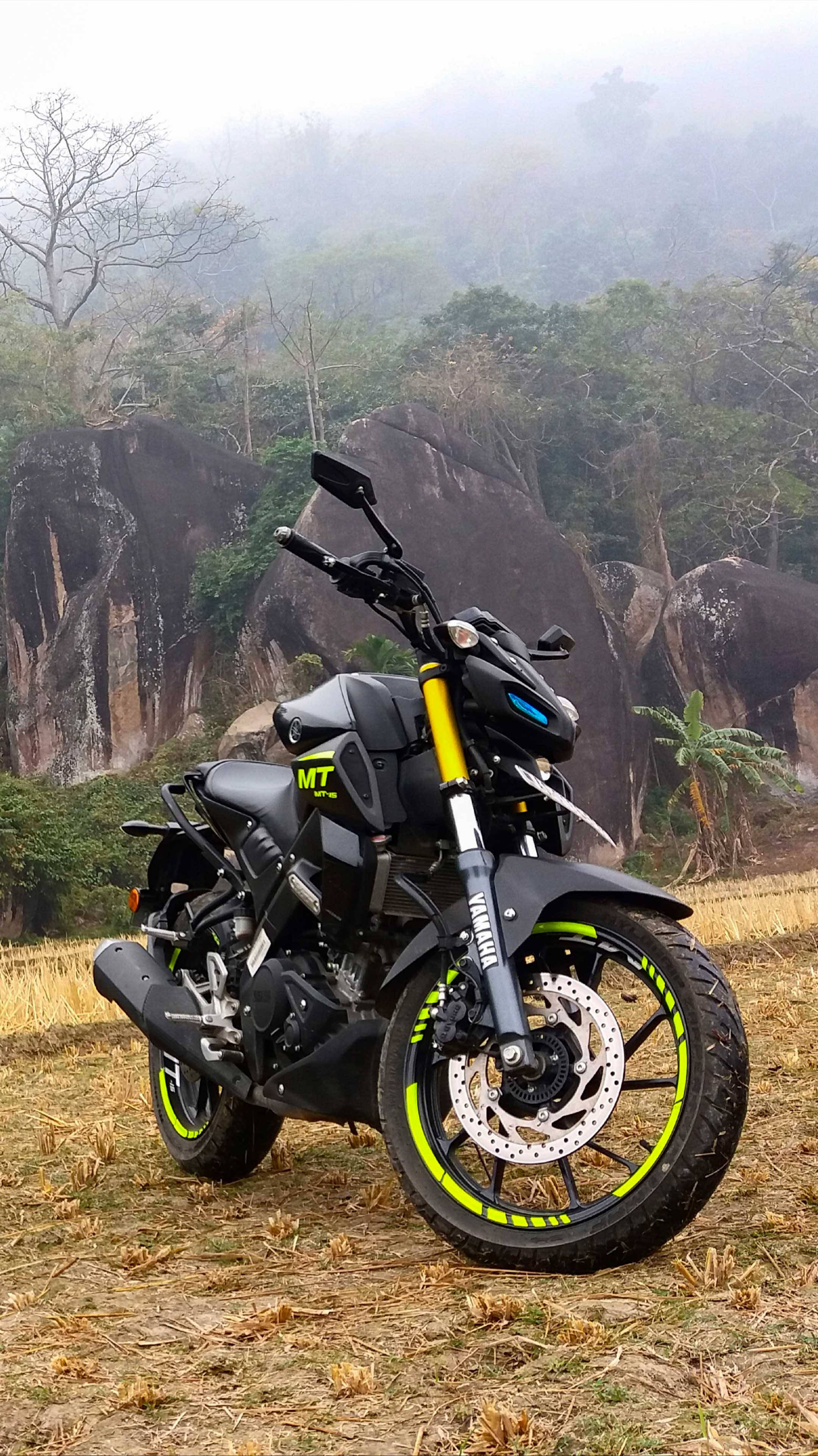 yamaha mt 15 桌布 壁紙 — 一輛帶有螢光綠色點綴的黑色機車，立於乾草上，背景是霧氣籠罩的岩石山丘和稀疏樹木。