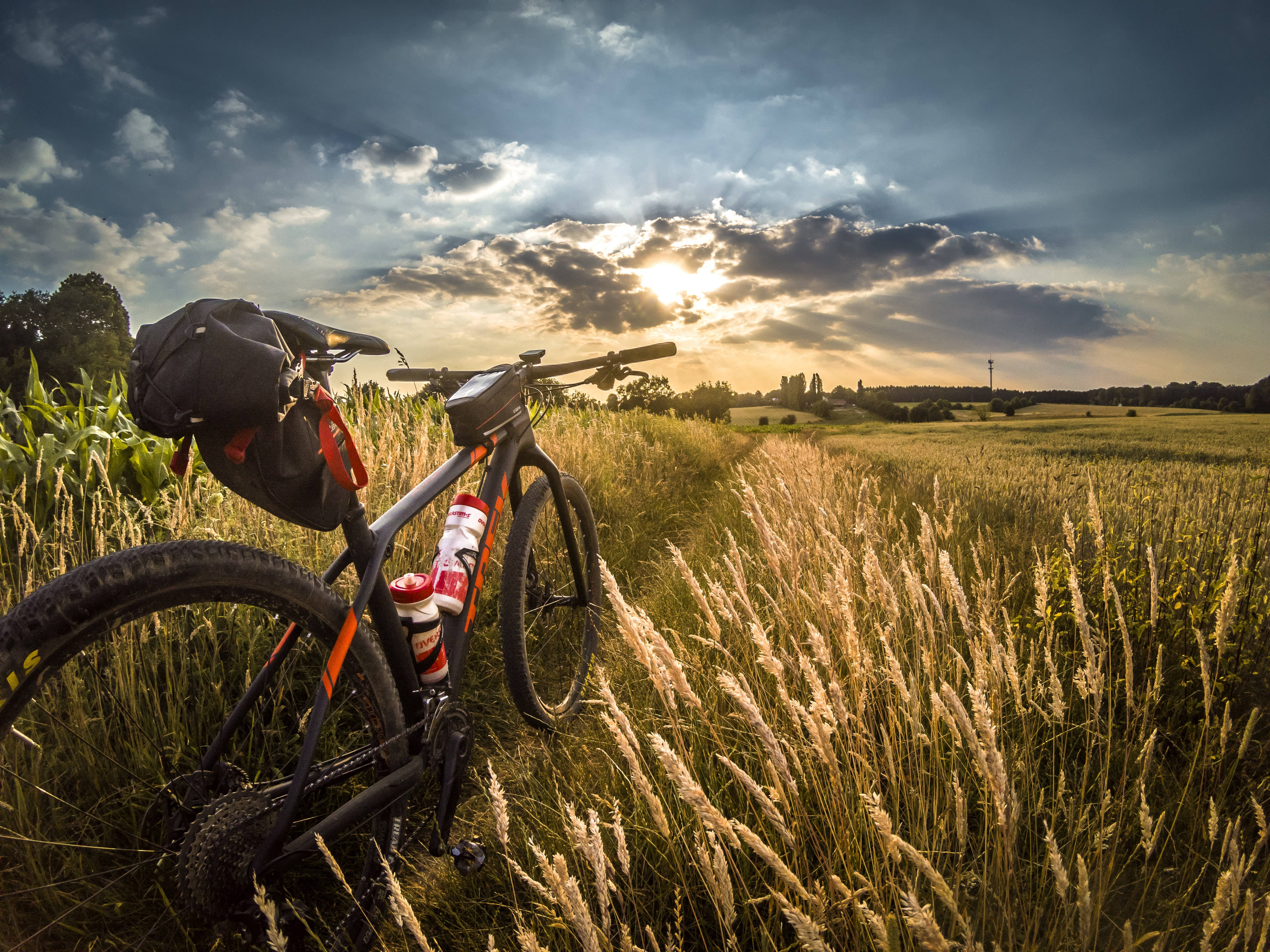 Mountain Bike 桌布 壁紙 — 一輛帶有裝備包的登山車停在高高的金色草叢中，夕陽的光芒穿過戲劇性的雲層。
