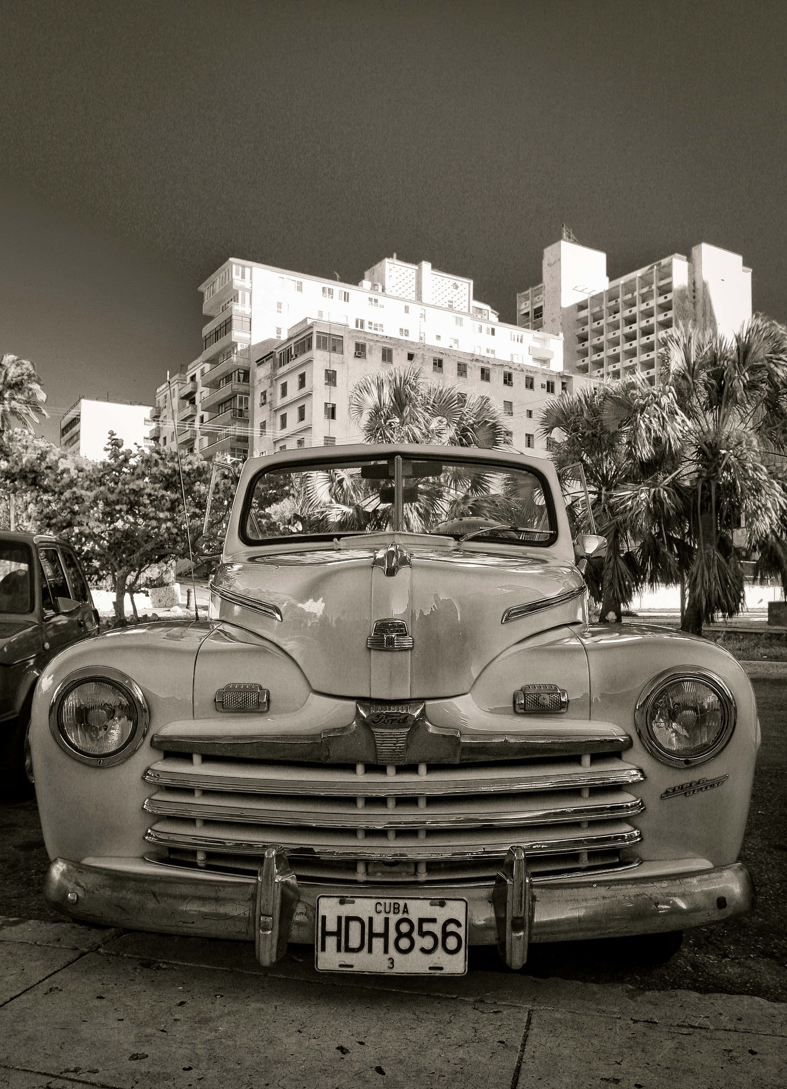 Black And White Vintage Car 桌布 壁紙 — 一輛帶有鍍鉻格柵和車牌HDH856的復古古巴汽車，在黑暗的天空下矗立在棕櫚樹和城市建築前。