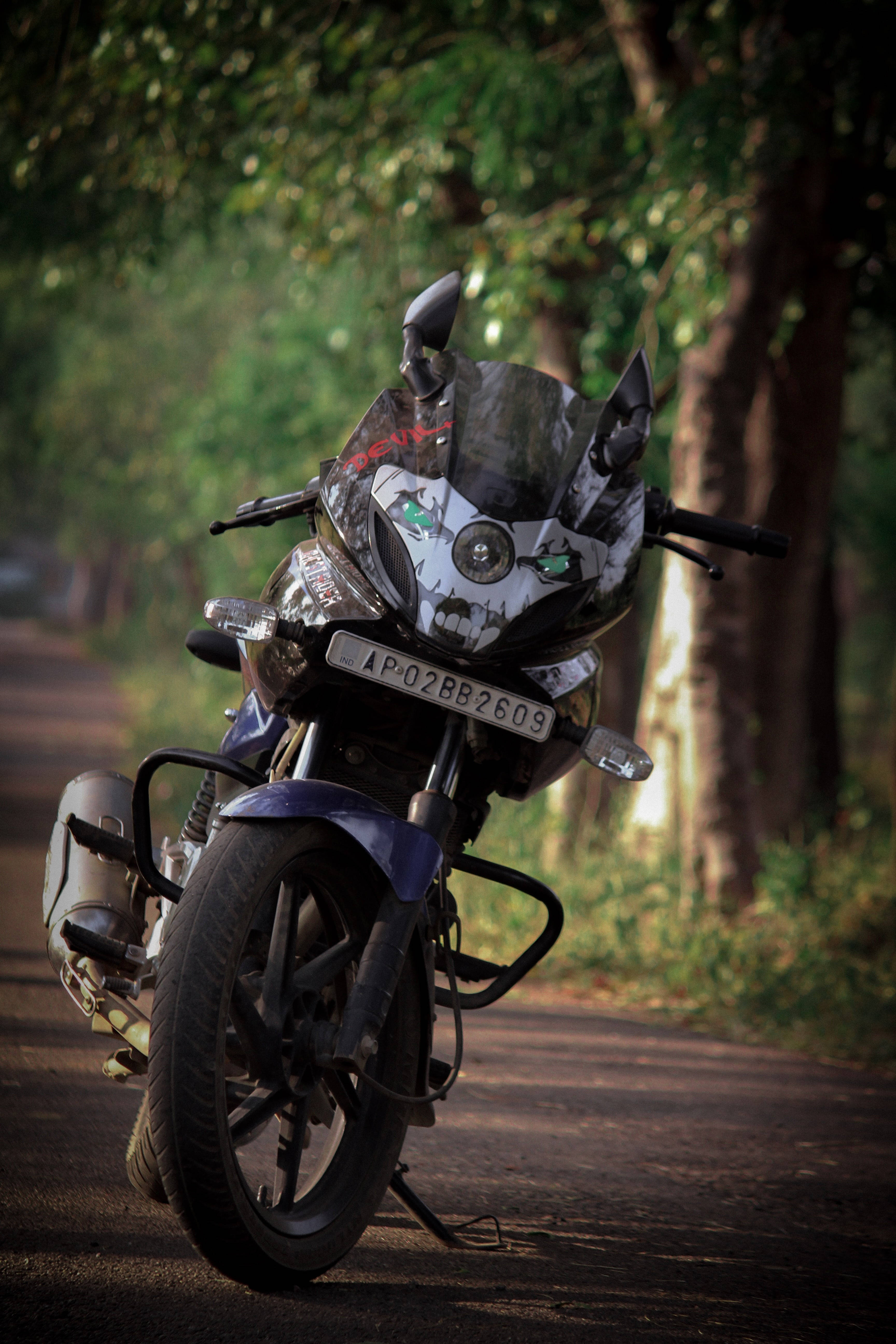 Pulsar 220 HD 桌布 壁紙 — 一輛帶有骷髏圖案的運動型機車，停泊在樹蔭大道上，沐浴在金色的午後陽光中。