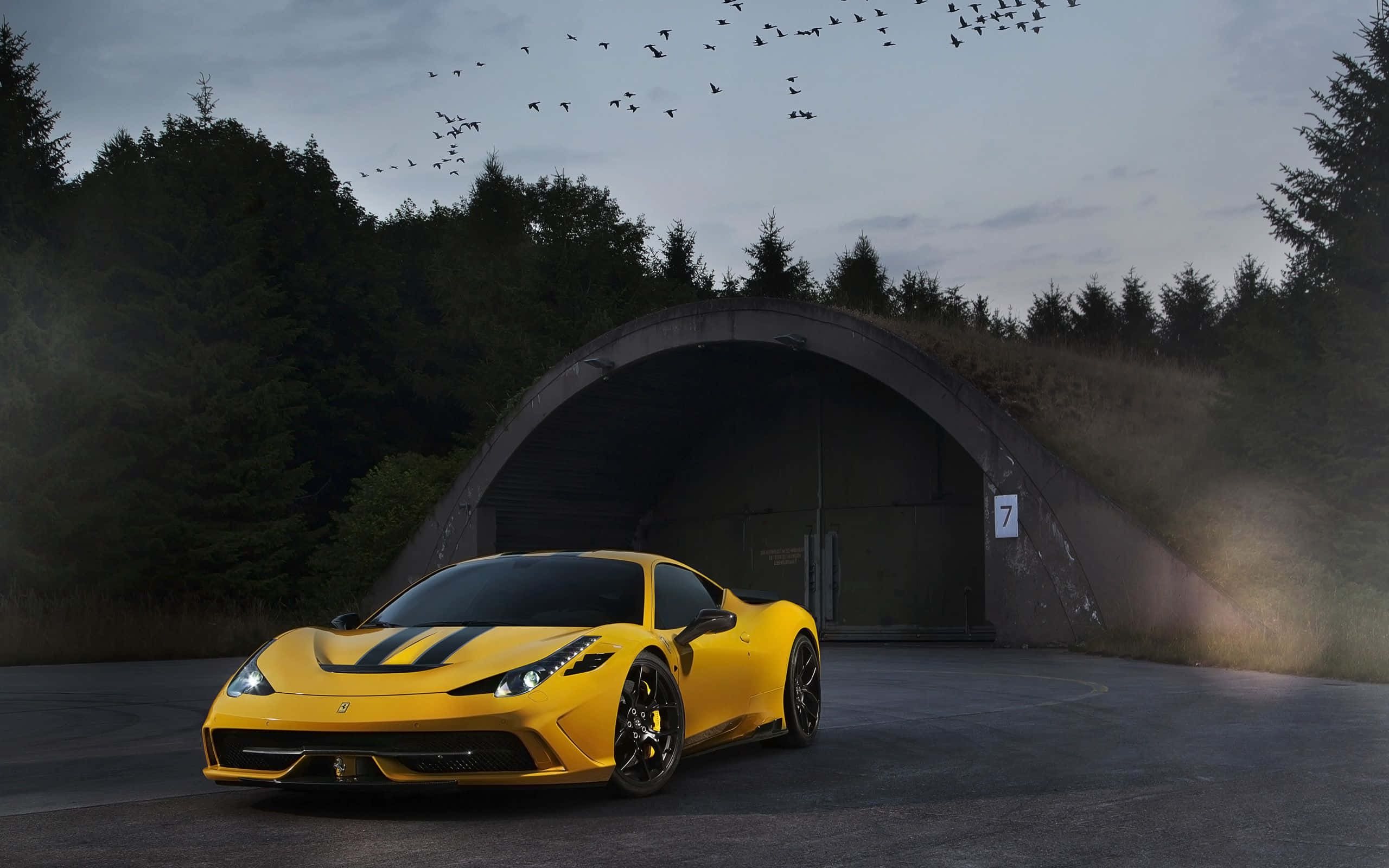 Ferrari 458 Speciale 桌布 壁紙 — 一輛帶有黑色條紋的鮮黃色法拉利跑車停在混凝土掩體前，黃昏時分鳥兒在頭頂飛翔。