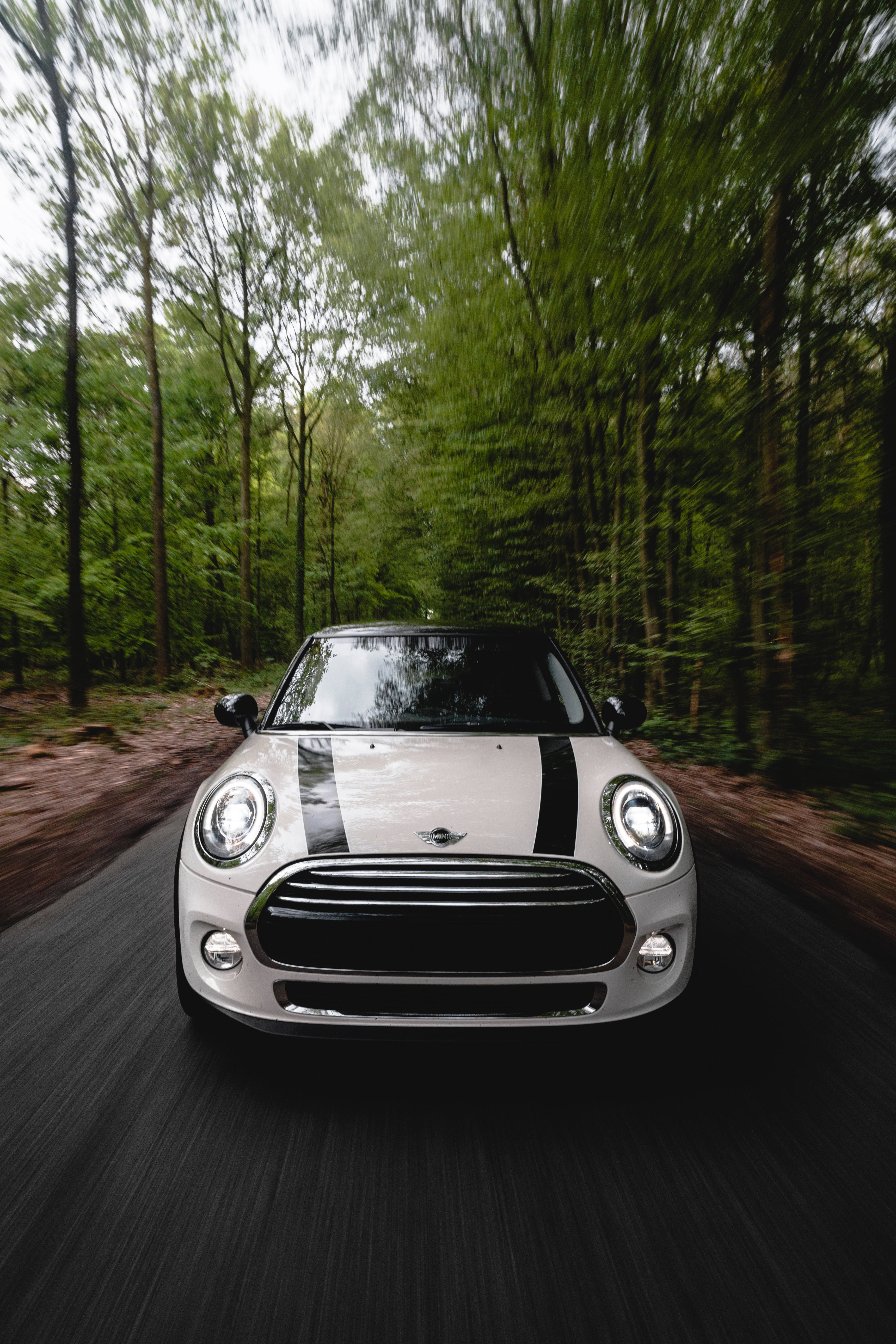 Mini Cooper 桌布 壁紙 — 一輛帶有黑色賽車條紋的白色MINI Cooper在森林道路上疾馳，樹木和瀝青呈現動態模糊。