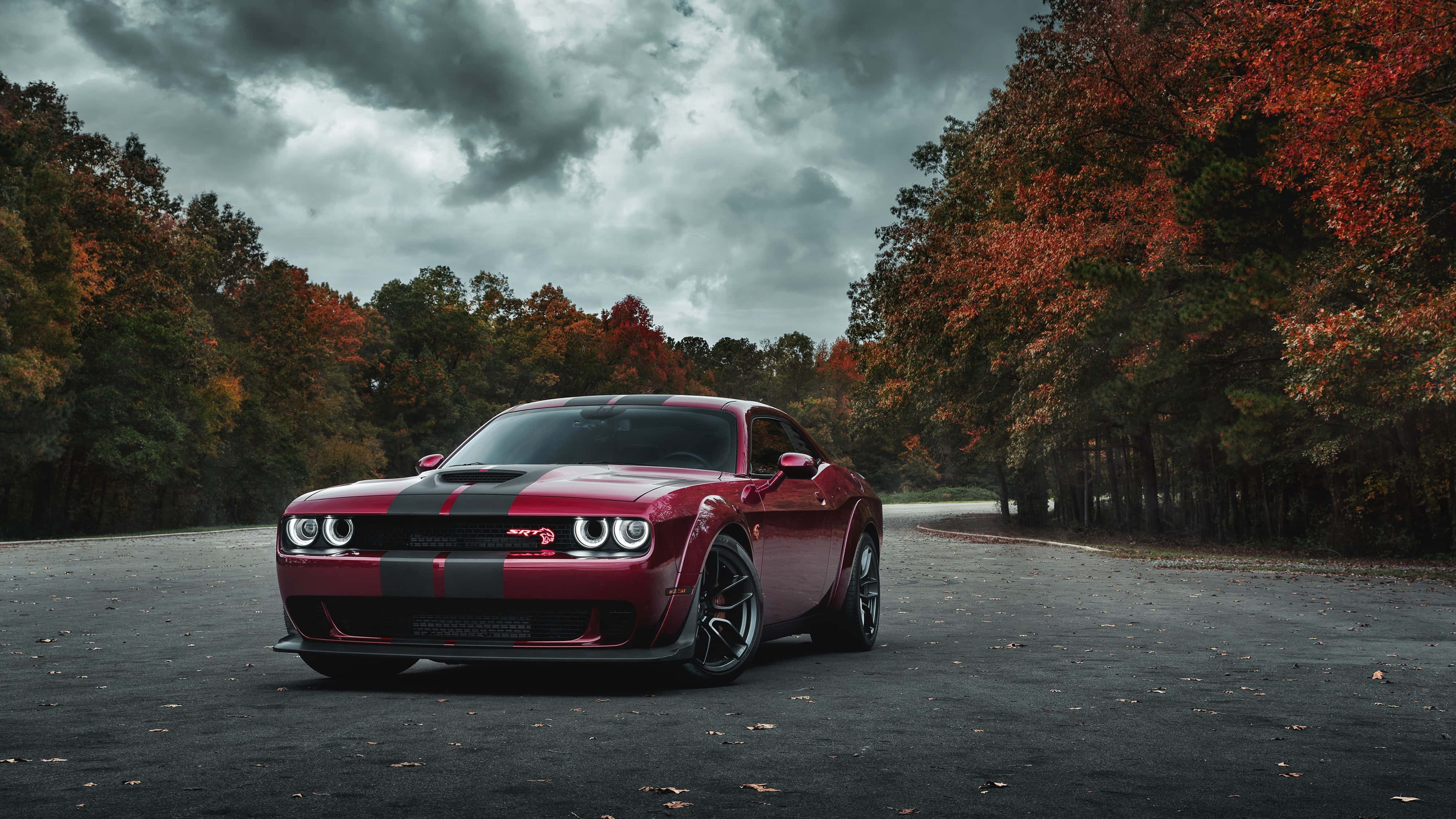 Dodge 桌布 壁紙 — 一輛帶有黑色賽車條紋的紅色 Dodge Challenger SRT 停在森林道路上，背景是暴風雨的天空和秋天的樹木。