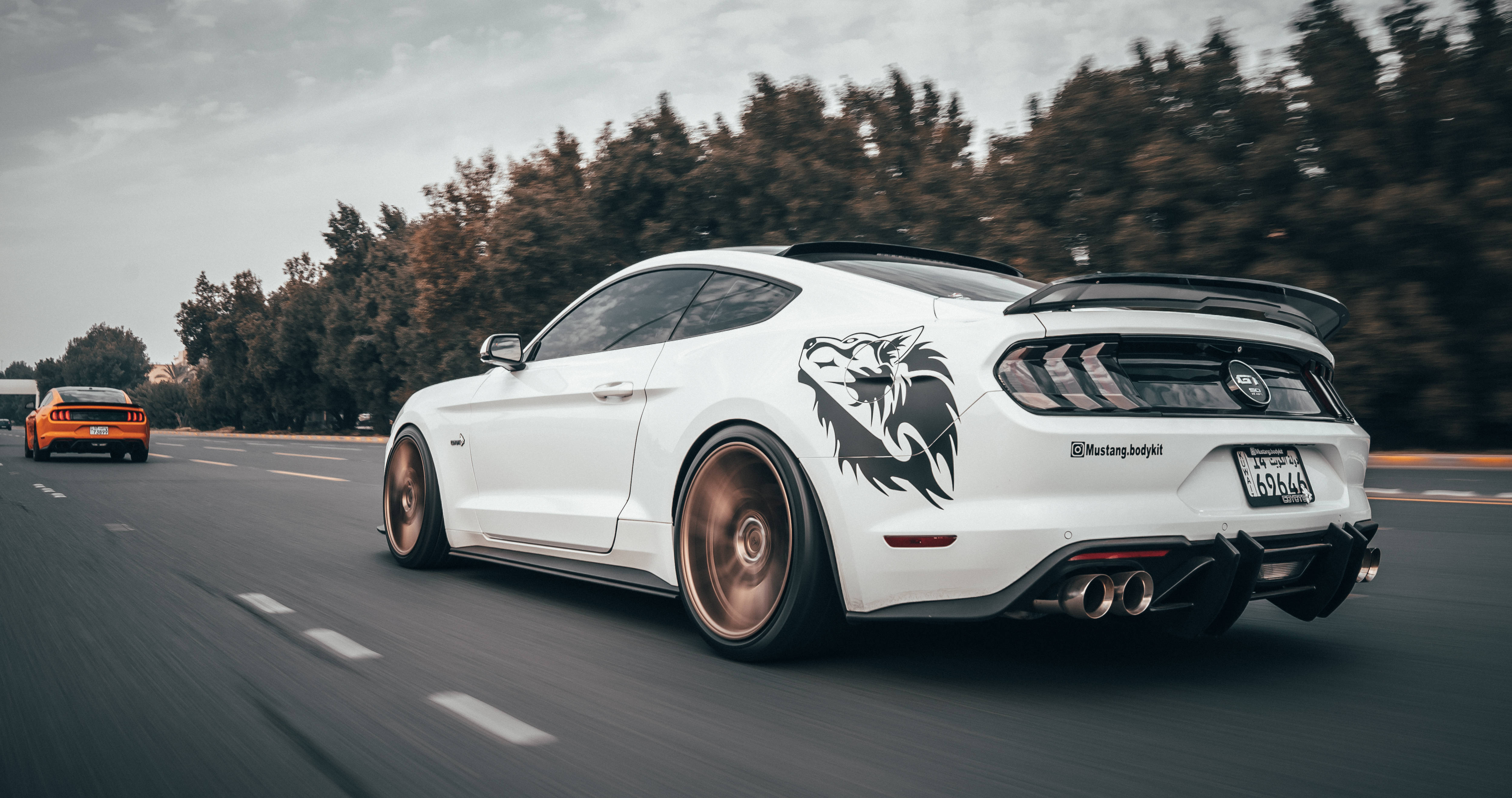Cool Mustang 桌布 壁紙 — 一輛帶有黑色龍形貼紙的白色福特野馬在綠樹成蔭的道路上疾馳，前面有一輛橙色汽車。