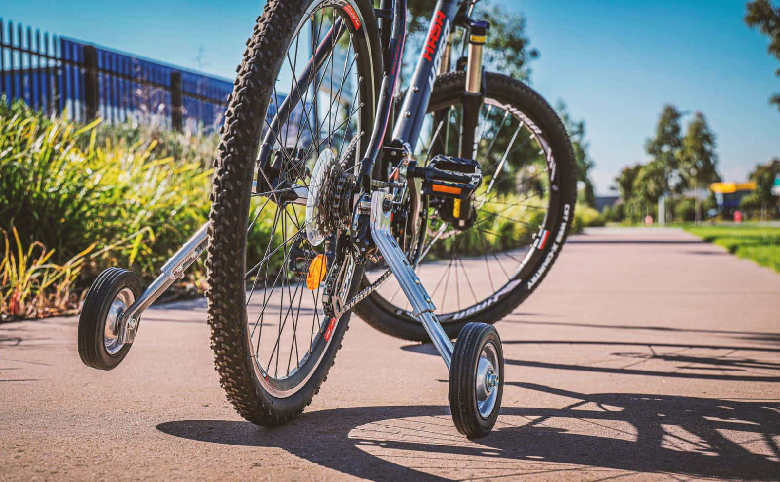Bicycle 桌布 壁紙 — 一輛帶輔助輪的山地車的特寫，停放在陽光普照的鋪砌小徑旁，旁邊有綠植。
