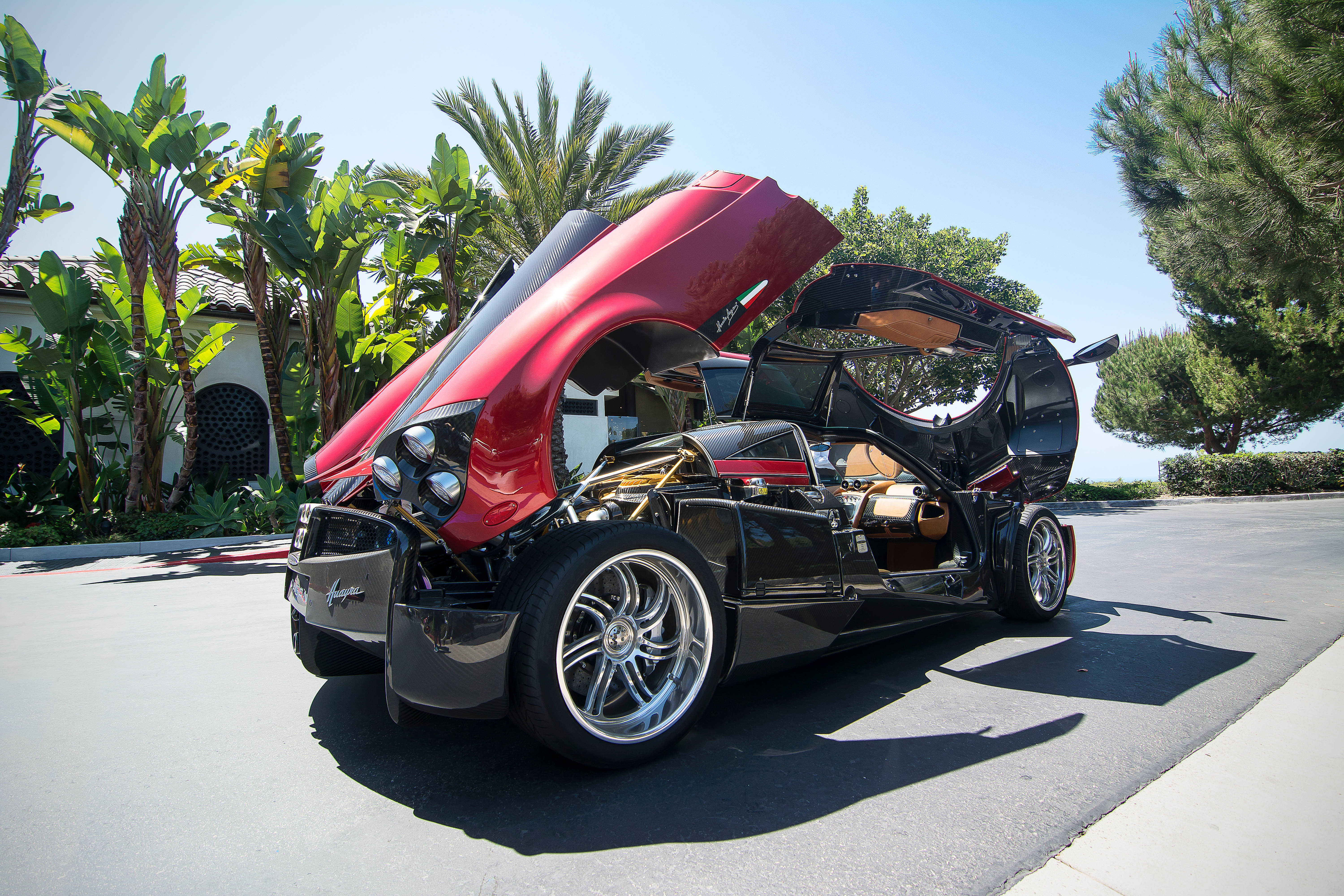 pagani iPhone 桌布 壁紙 — 一輛引人注目的紅黑跑車，車門和引擎蓋打開，停在陽光明媚的車道上，周圍環繞著茂密的棕櫚樹。
