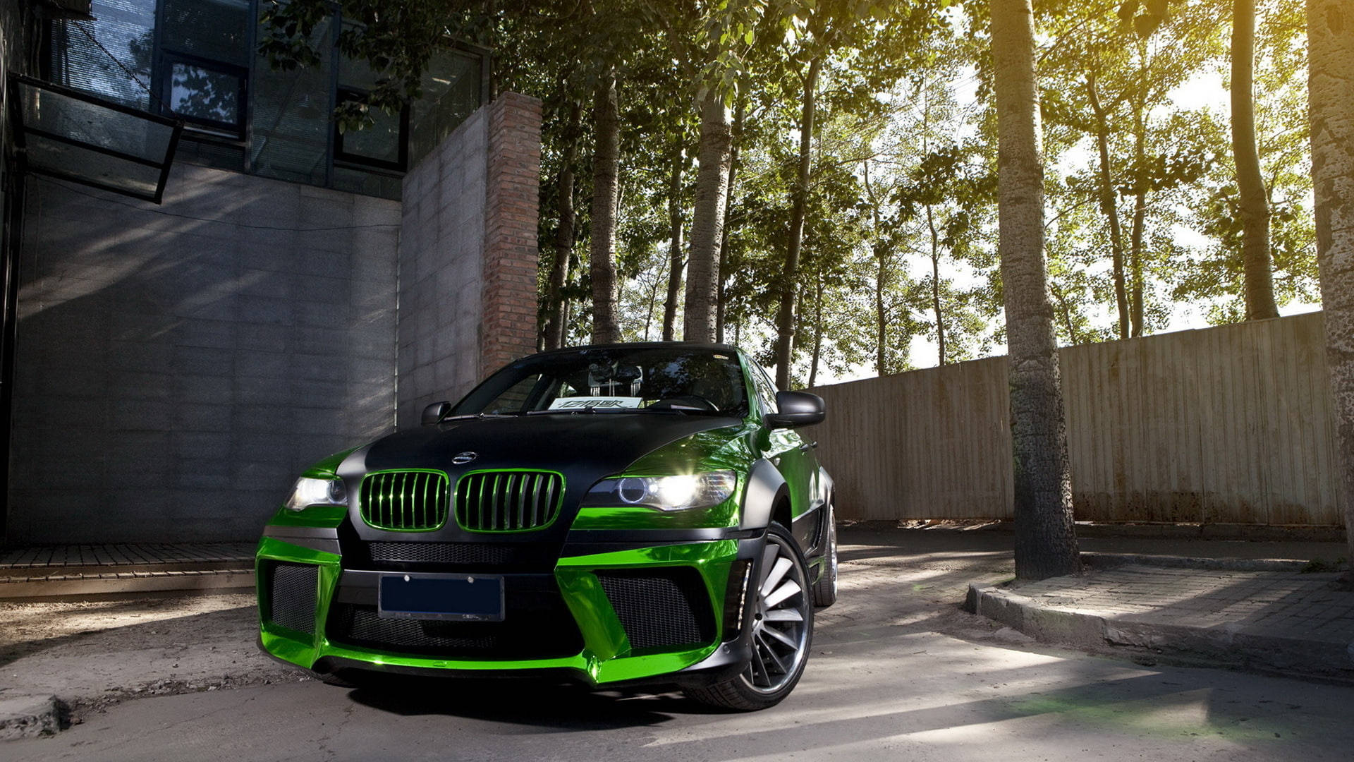 m 桌布 壁紙 — 一輛引人注目的綠色和黑色BMW M6跑車停泊在沐浴在金色陽光下的林蔭城市街道上。