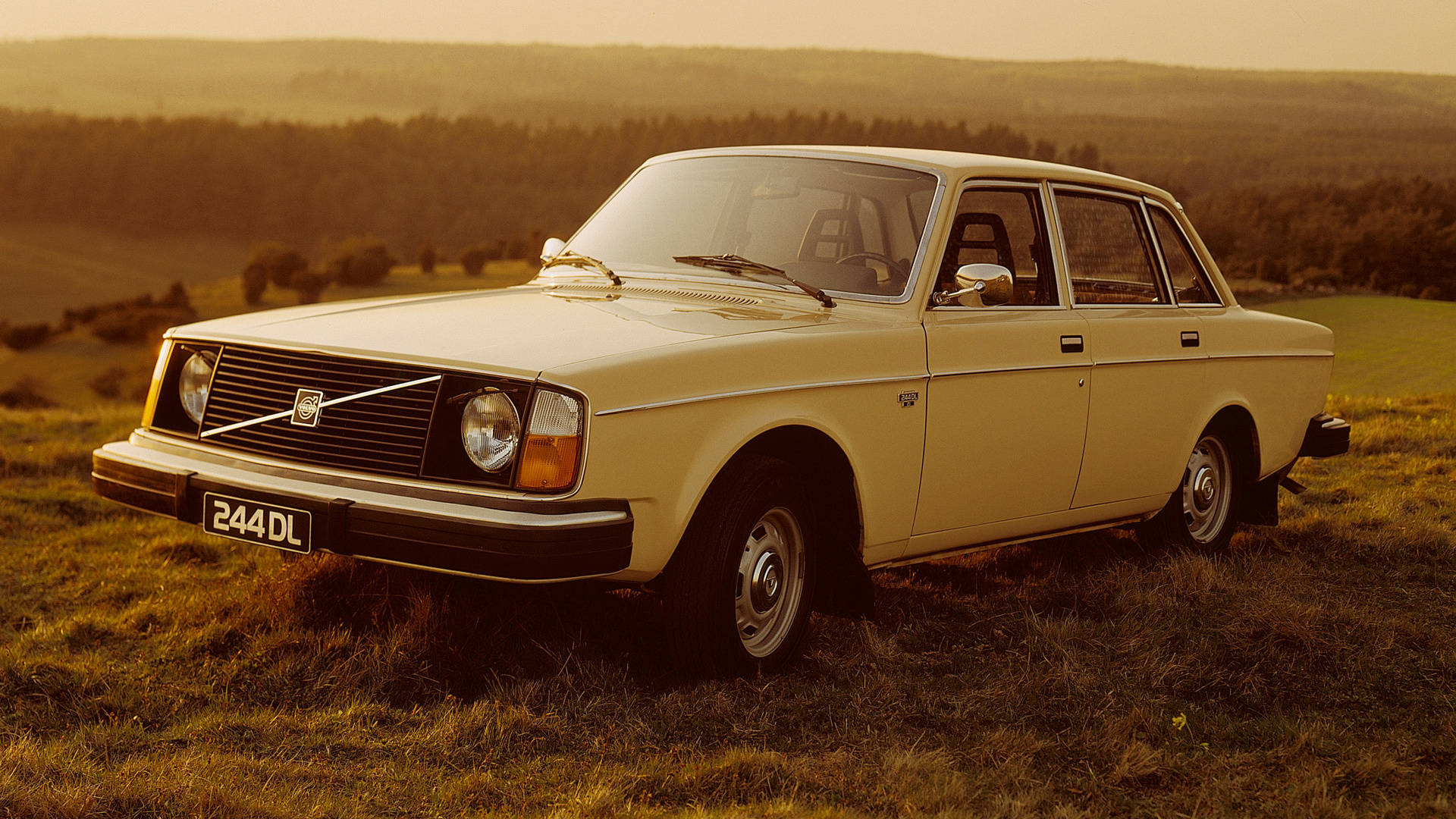 volvo iPhone 桌布 壁紙 — 一輛復古奶油色富豪244DL在黃金時刻停泊在長滿青草的山坡上，背景是連綿起伏的丘陵。