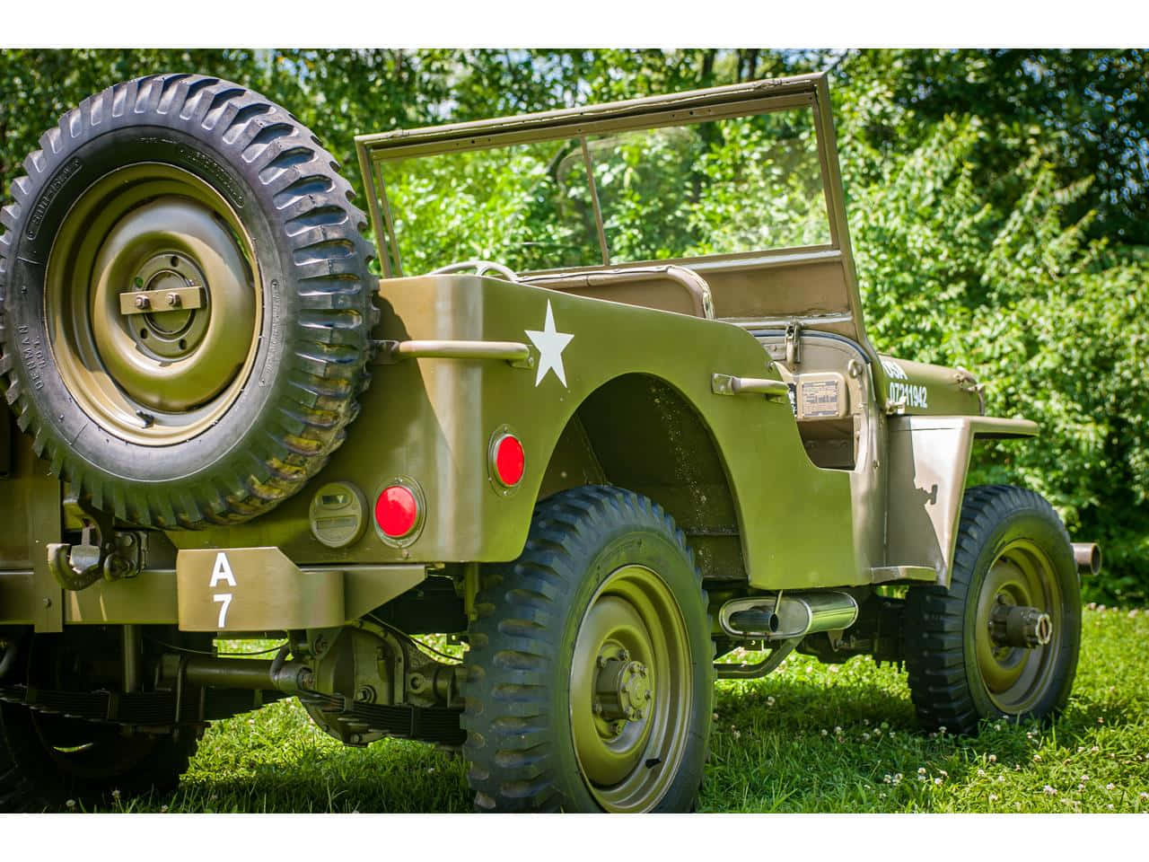 Jeep Willys 桌布 壁紙 — 一輛復古橄欖綠軍用吉普車，帶有白色星形標誌，停放在陽光普照的樹下草地上。