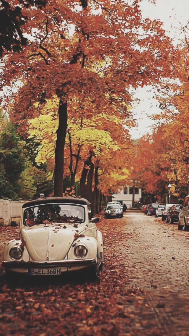 Vintage Autumn 桌布 壁紙 — 一輛復古白色福斯金龜車停泊在鵝卵石街道上，街道上鋪滿了鮮豔的橙色和黃色秋葉，上方是色彩繽紛的樹冠。
