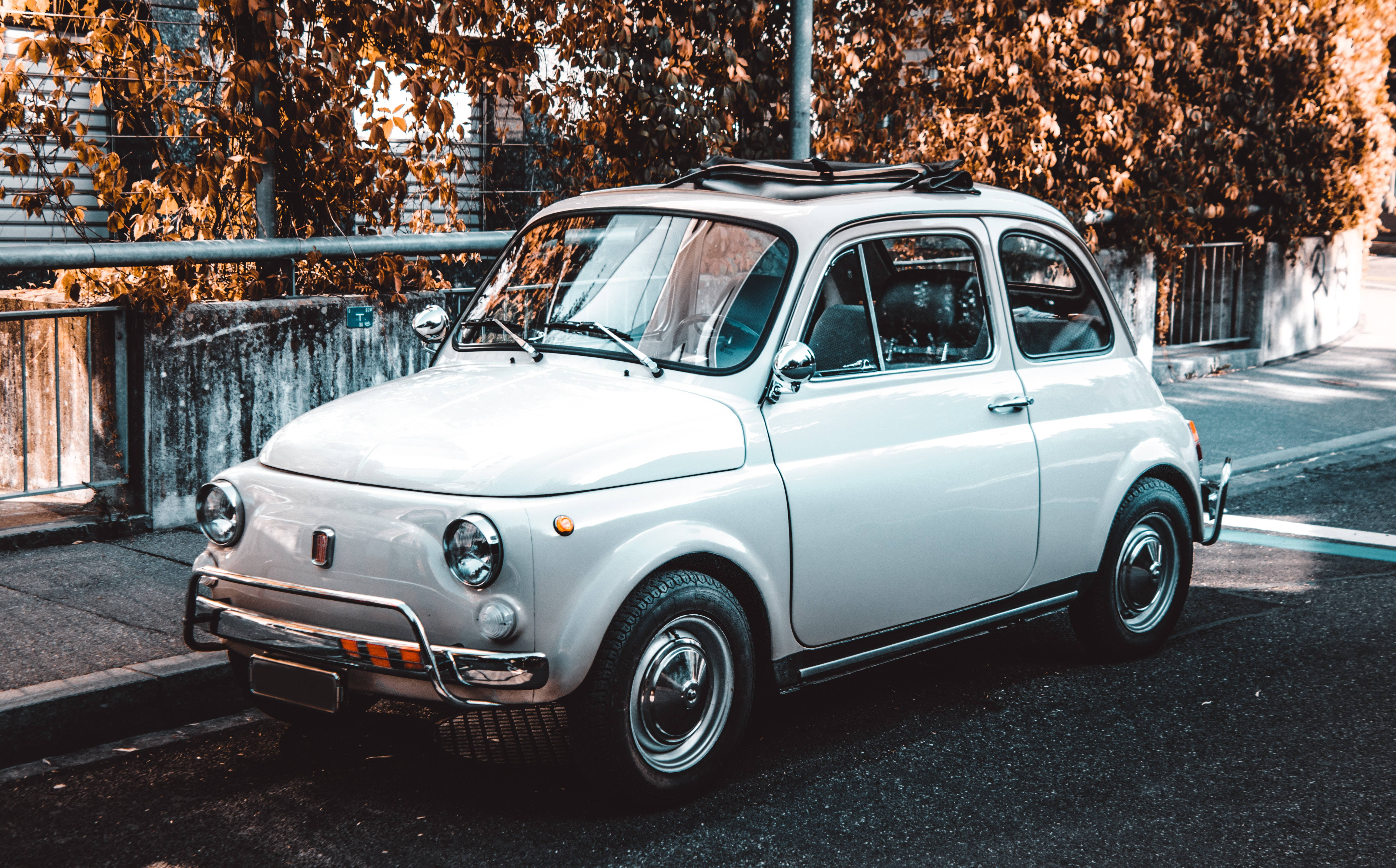 Fiat 桌布 壁紙 — 一輛復古白色菲亞特500停泊在陽光明媚的街道上，旁邊是帶有溫暖金色葉子的秋樹。
