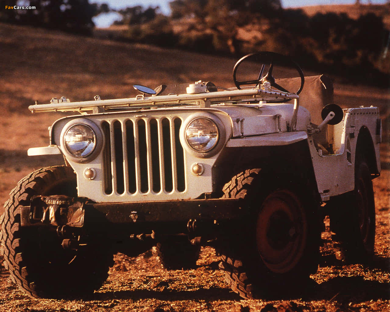 Jeep Cj 桌布 壁紙 — 一輛復古白色軍用吉普車在溫暖陽光下堅固地停在乾燥的金色地形上，背景有樹木。