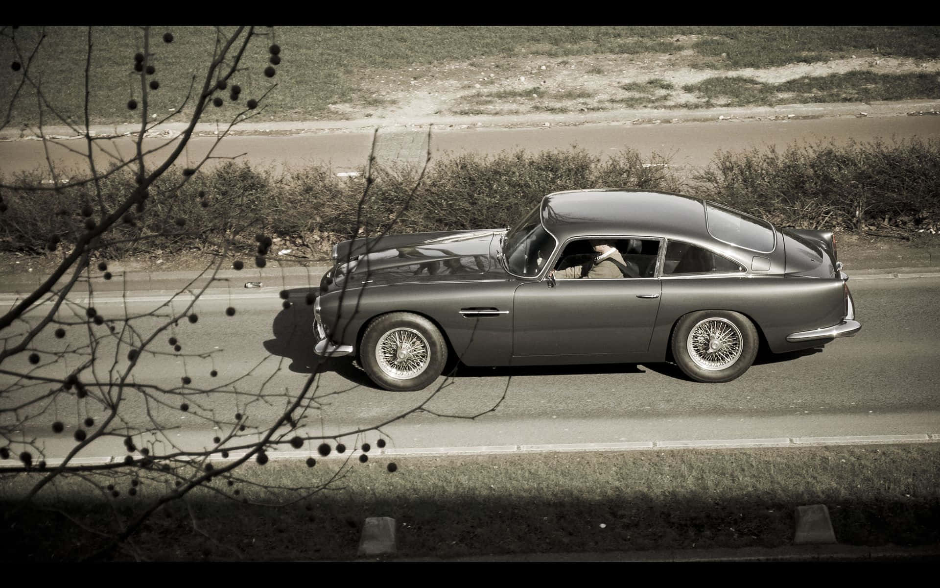Aston Martin Db5 桌布 壁紙 — 一輛復古的雅士頓馬丁DB5在陽光明媚的道路上行駛，道路兩旁是光禿禿的樹枝和乾草。