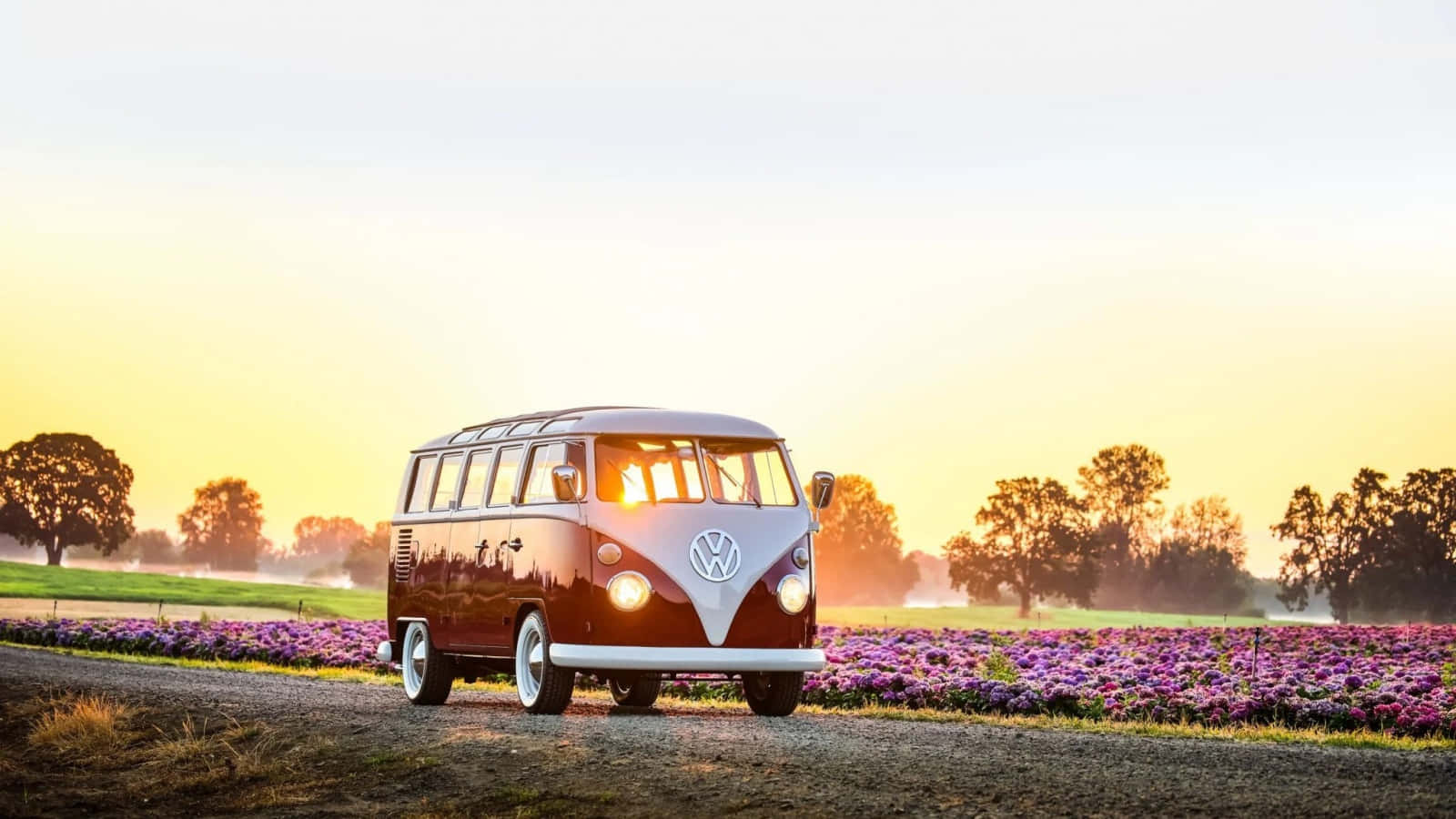 Van 桌布 壁紙 — 一輛復古福斯露營車在金色日出中溫暖地發光，穿過一片紫色花田。