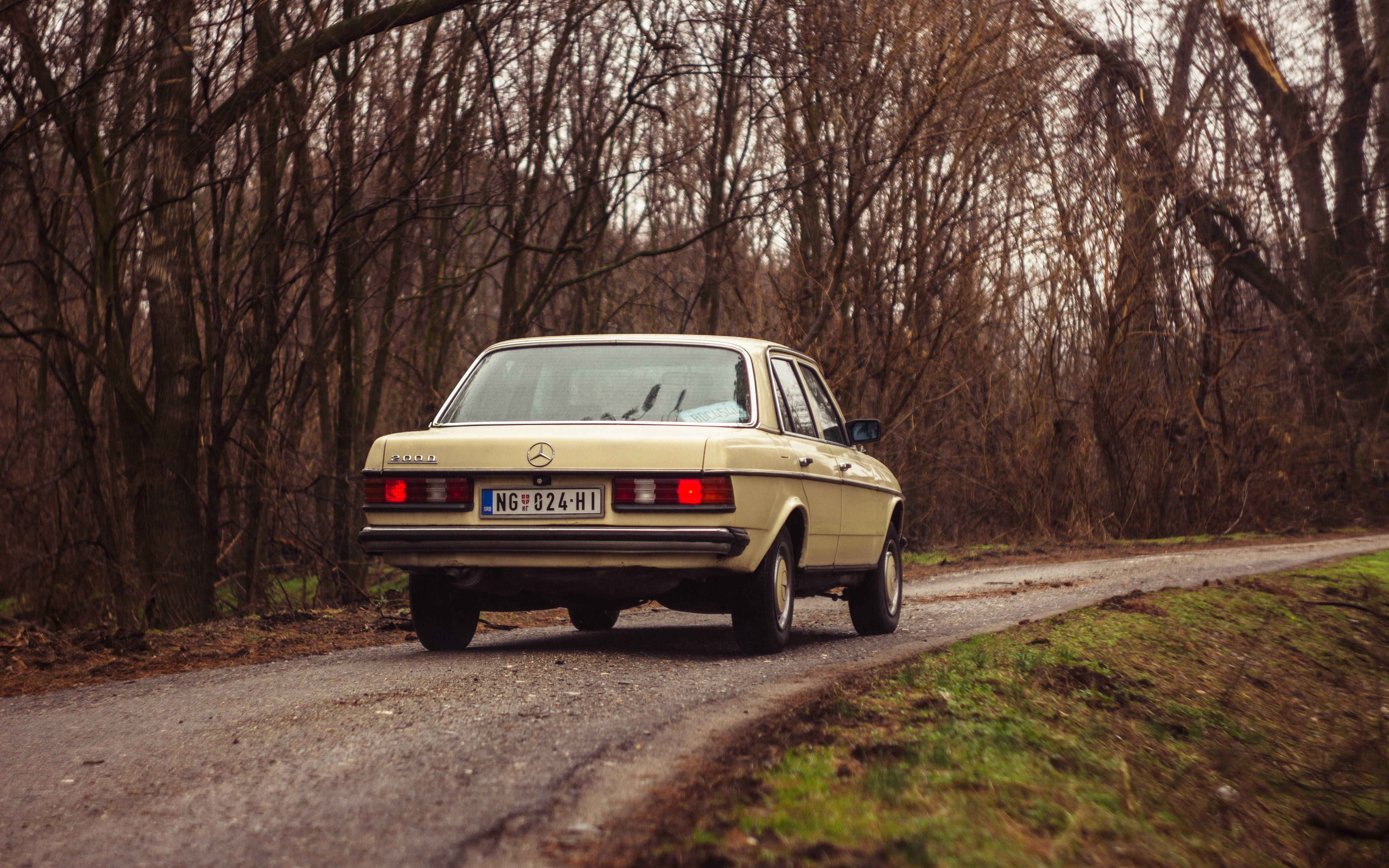 Serbia 桌布 壁紙 — 一輛復古米色賓士轎車駛離一條碎石路，穿過光禿禿的冬季森林。