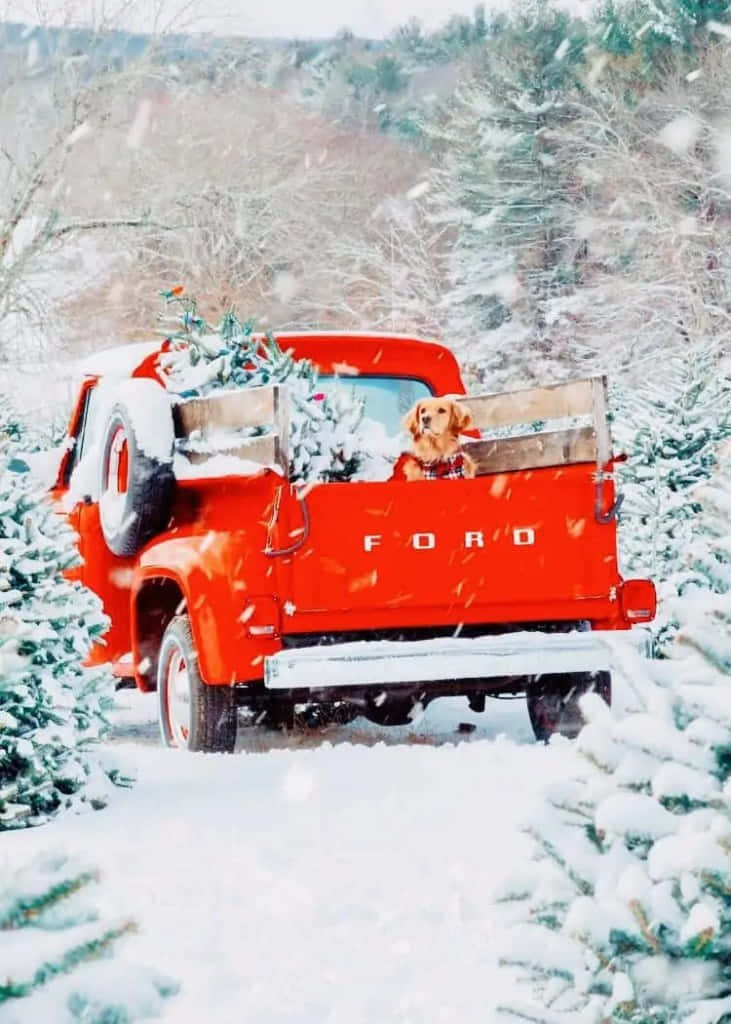 桌布 壁紙 — 一輛復古紅色福特卡車行駛在雪地森林中，車斗裡有一隻黃金獵犬和一棵聖誕樹。