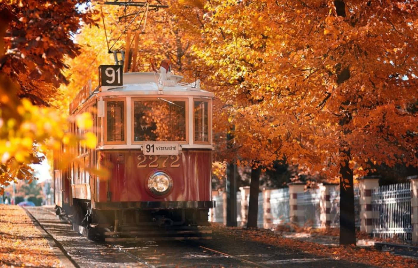 火車 桌布 壁紙 — 一輛復古紅色電車在陽光明媚的日子裡，滑行穿過一條由火橙色秋樹組成的隧道。