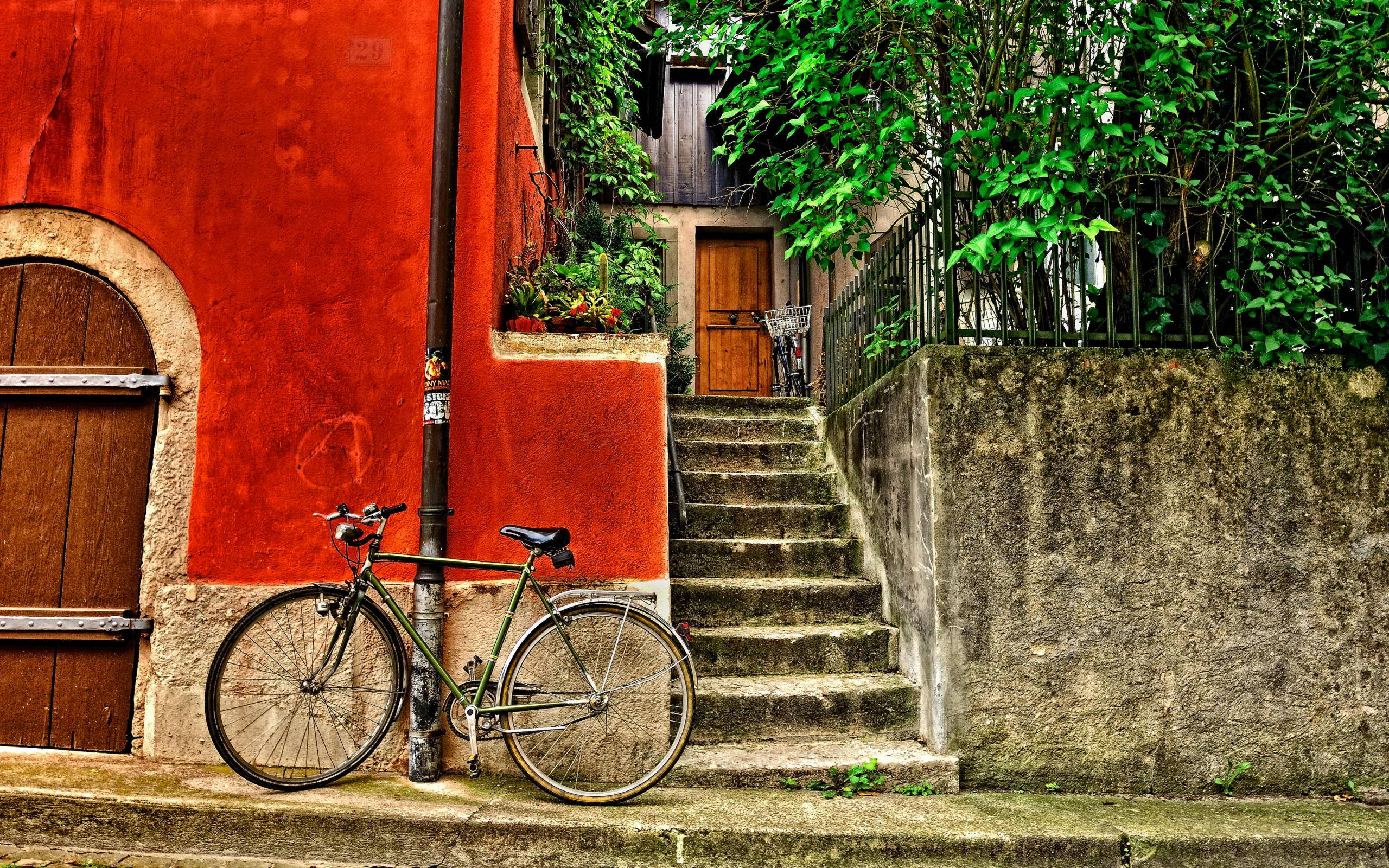 Bicycle 桌布 壁紙 — 一輛復古綠色腳踏車靠在一幅鮮紅色牆上，旁邊有石階通往一道被茂密綠葉環繞的木門。