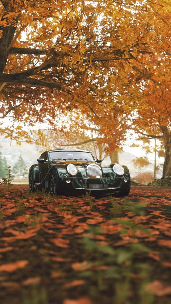 Vintage Autumn 桌布 壁紙 — 一輛復古綠色跑車停泊在森林小徑上，上方是金黃秋葉形成的樹冠。
