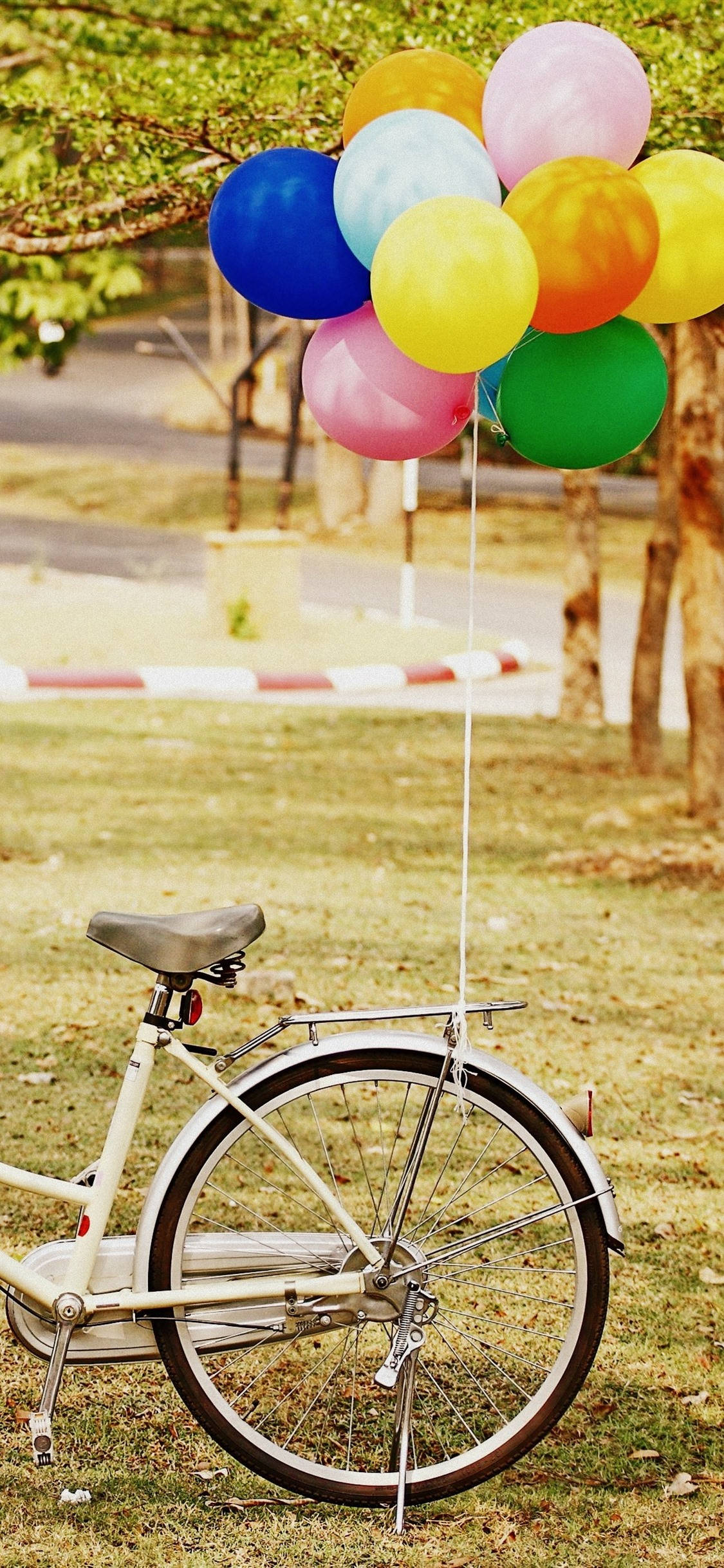 Balloons 桌布 壁紙 — 一輛復古腳踏車停在草地上，車把上繫著一簇色彩繽紛的氣球，上方是枝葉茂密的樹木。
