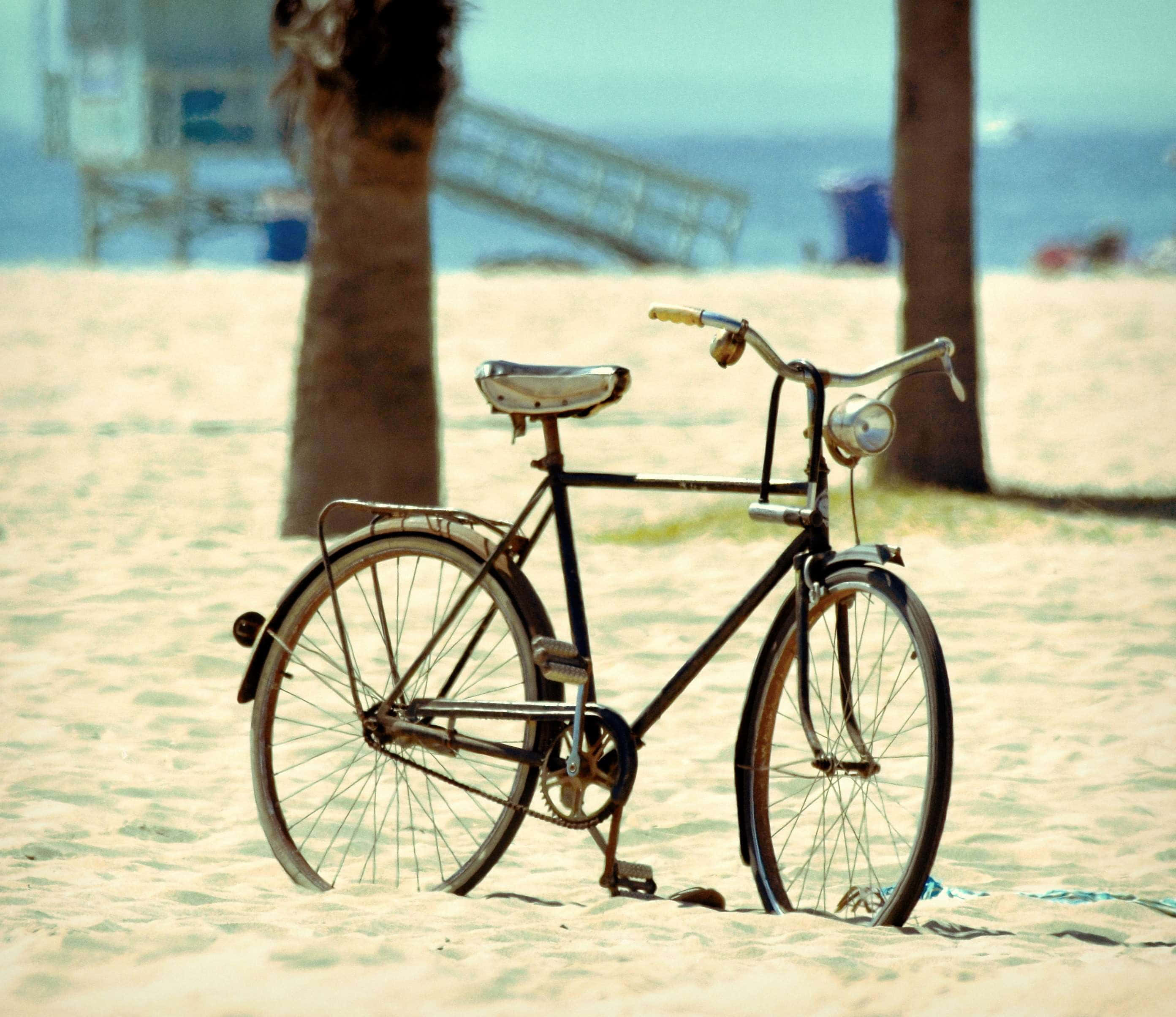Beach Cruiser 桌布 壁紙 — 一輛復古腳踏車停放在陽光普照的沙灘上，棕櫚樹之間，背景有海洋和救生塔，色調柔和。