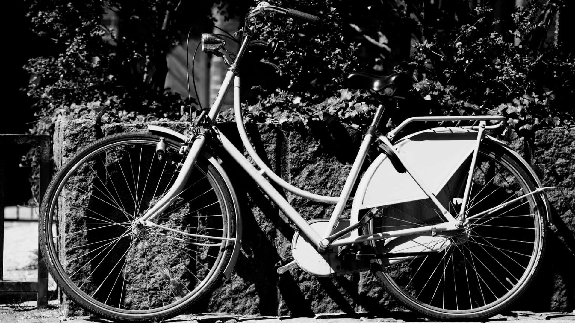 Vintage Black And White 桌布 壁紙 — 一輛復古腳踏車靠在石牆上，有樹葉，高對比黑白。