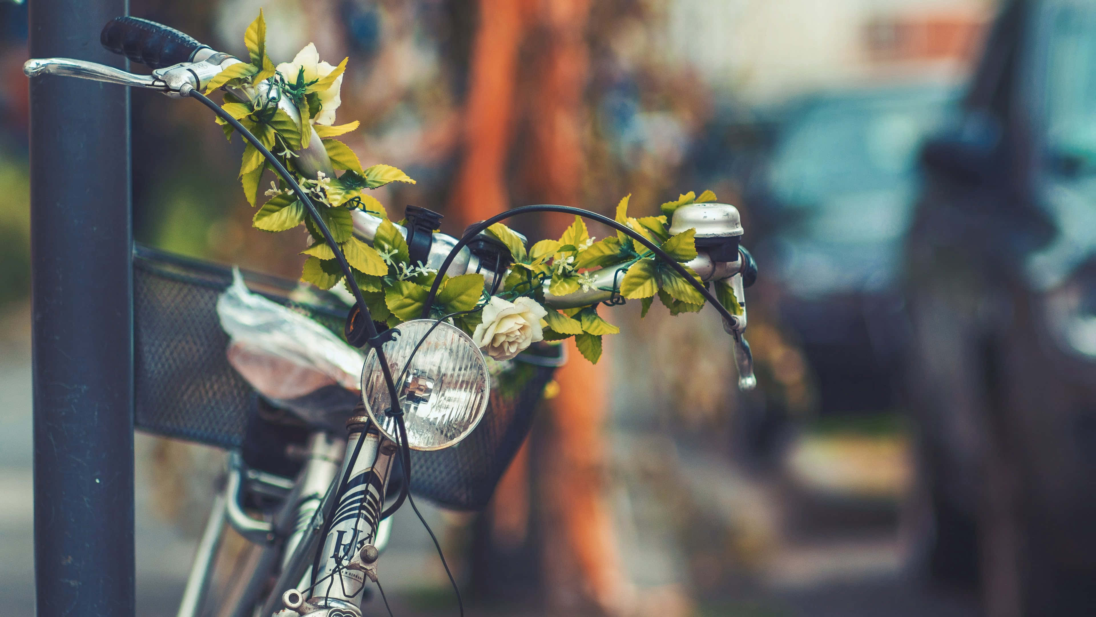 4K Bikes 桌布 壁紙 — 一輛復古自行車點綴著新鮮的綠葉和白色花朵，倚靠在陽光明媚的城市街道的柱子上。