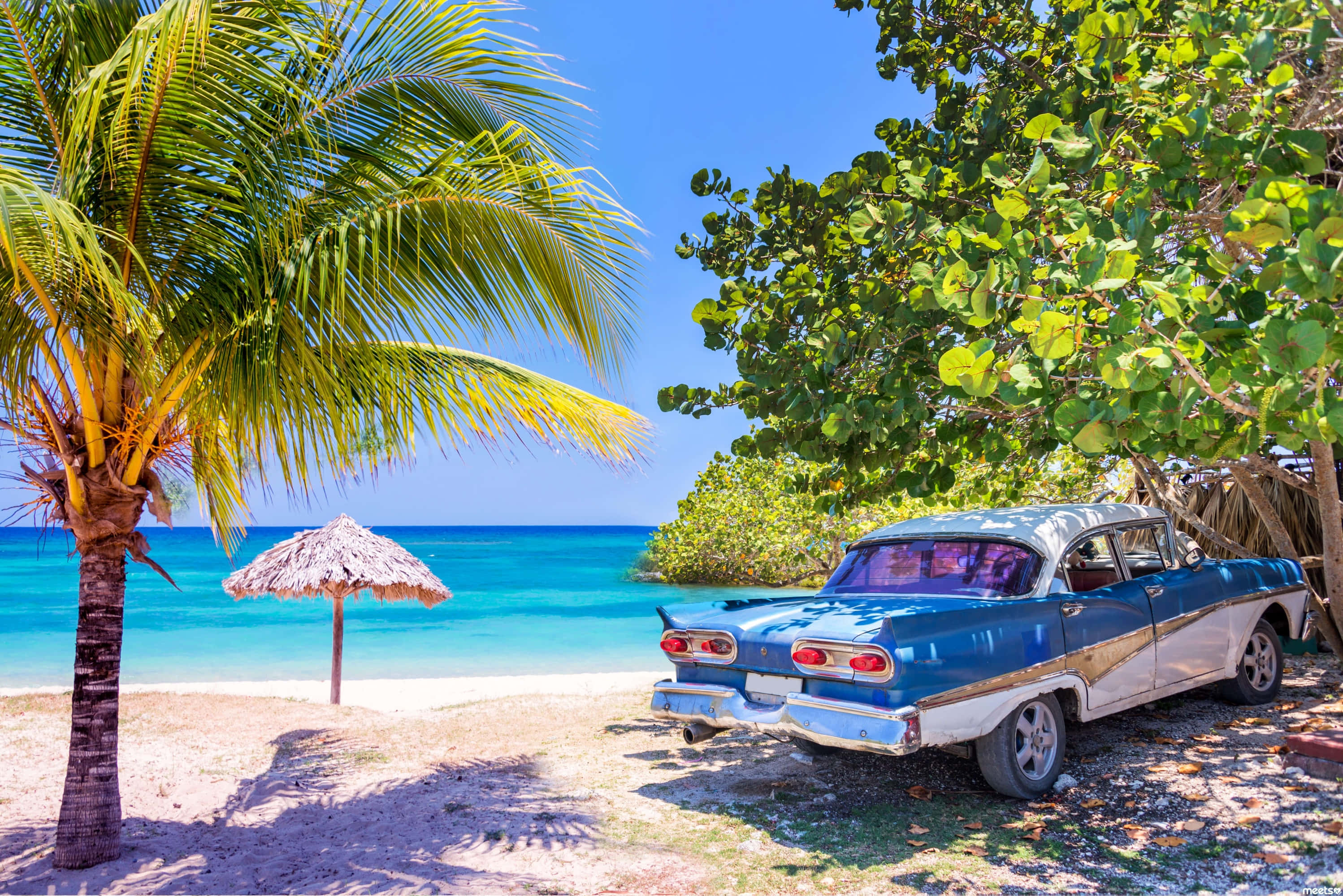 Cuba 桌布 壁紙 — 一輛復古藍白色汽車停放在茂密綠樹下，旁邊是碧綠海灘，設有茅草傘和棕櫚樹。