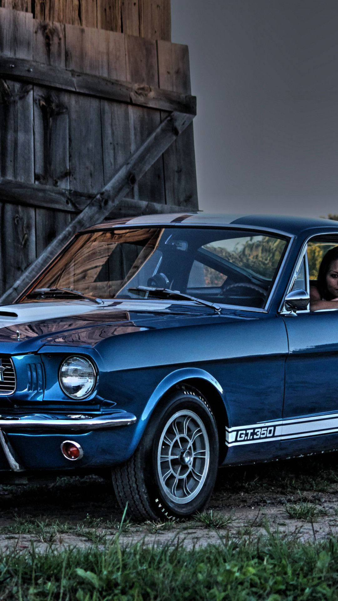 ford iPhone 桌布 壁紙 — 一輛復古藍色福特野馬GT350停放在風化木穀倉旁，駕駛座上可見一名女子。
