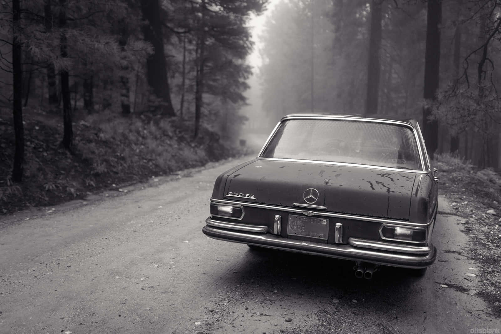 Black And White Vintage Car 桌布 壁紙 — 一輛復古賓士轎車被遺棄在霧氣瀰漫的森林道路上，周圍是單色調的高大樹木。