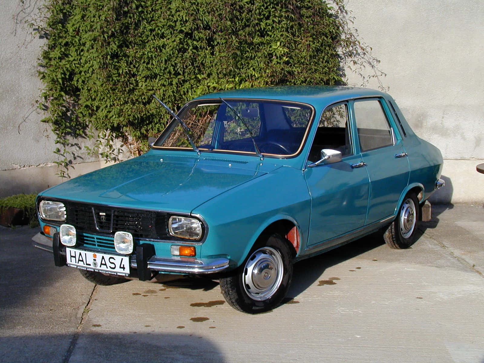 Dacia 桌布 壁紙 — 一輛復古青綠色雷諾12停放在陽光普照的混凝土車道上，旁邊是茂密的綠色常春藤覆蓋的牆壁。