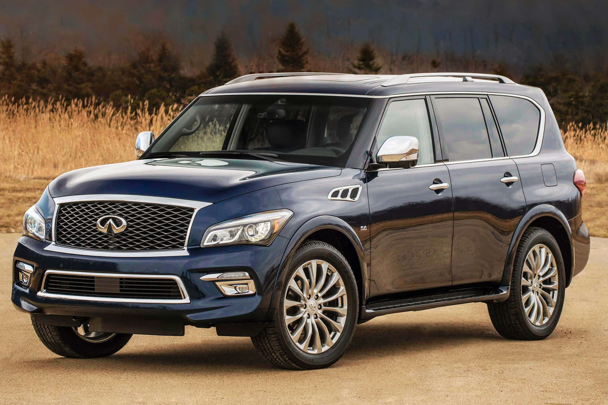 Infiniti Qx80 桌布 壁紙 — 一輛時尚深藍色 Infiniti QX80 SUV 停泊在泥地上，背景有高草和樹木繁茂的山丘。