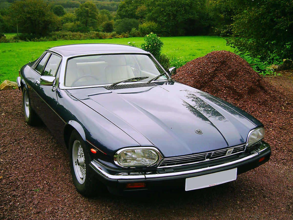 Jaguar Xjs 桌布 壁紙 — 一輛時尚深藍色經典捷豹XJ-S雙門跑車停泊在碎石路上，旁邊是草地和樹線。