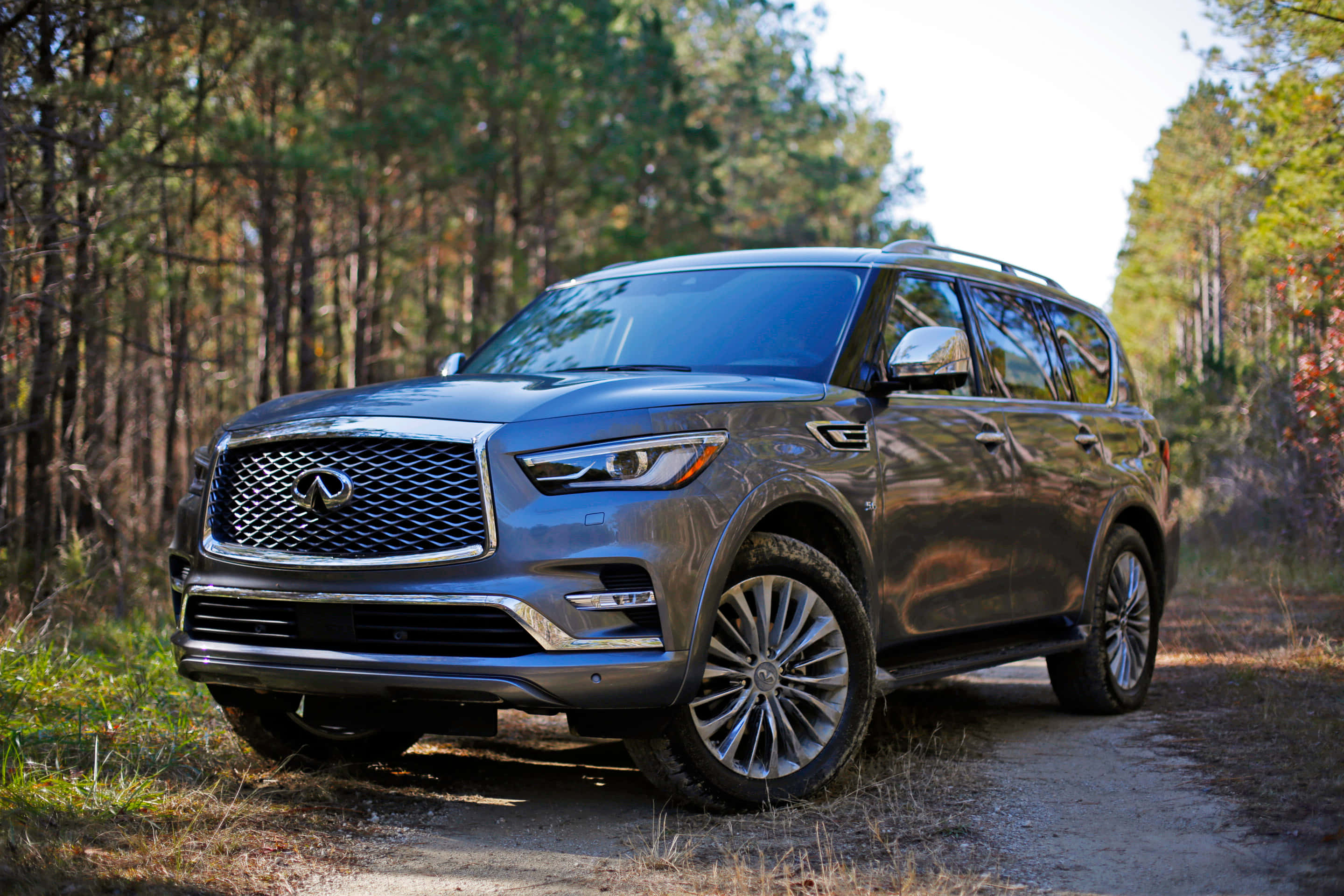 Infiniti Qx80 桌布 壁紙 — 一輛時尚灰色 Infiniti QX80 SUV 停泊在森林泥路上，周圍環繞著高大的樹木。